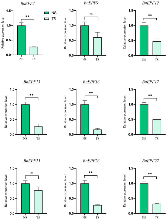 Comprehensive Identification and Expression Profiling of Epidermal ...