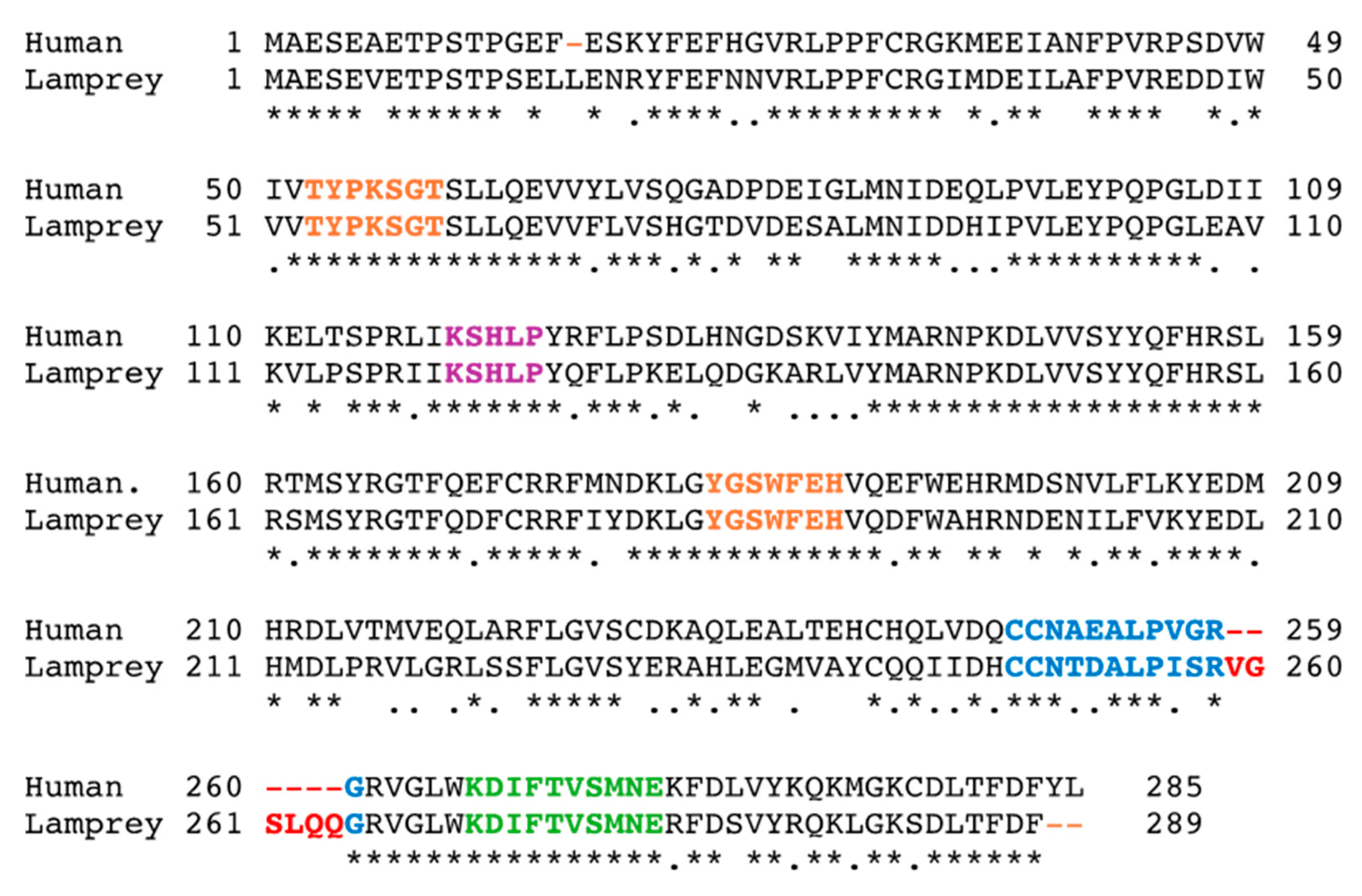 Genes 15 00914 g003