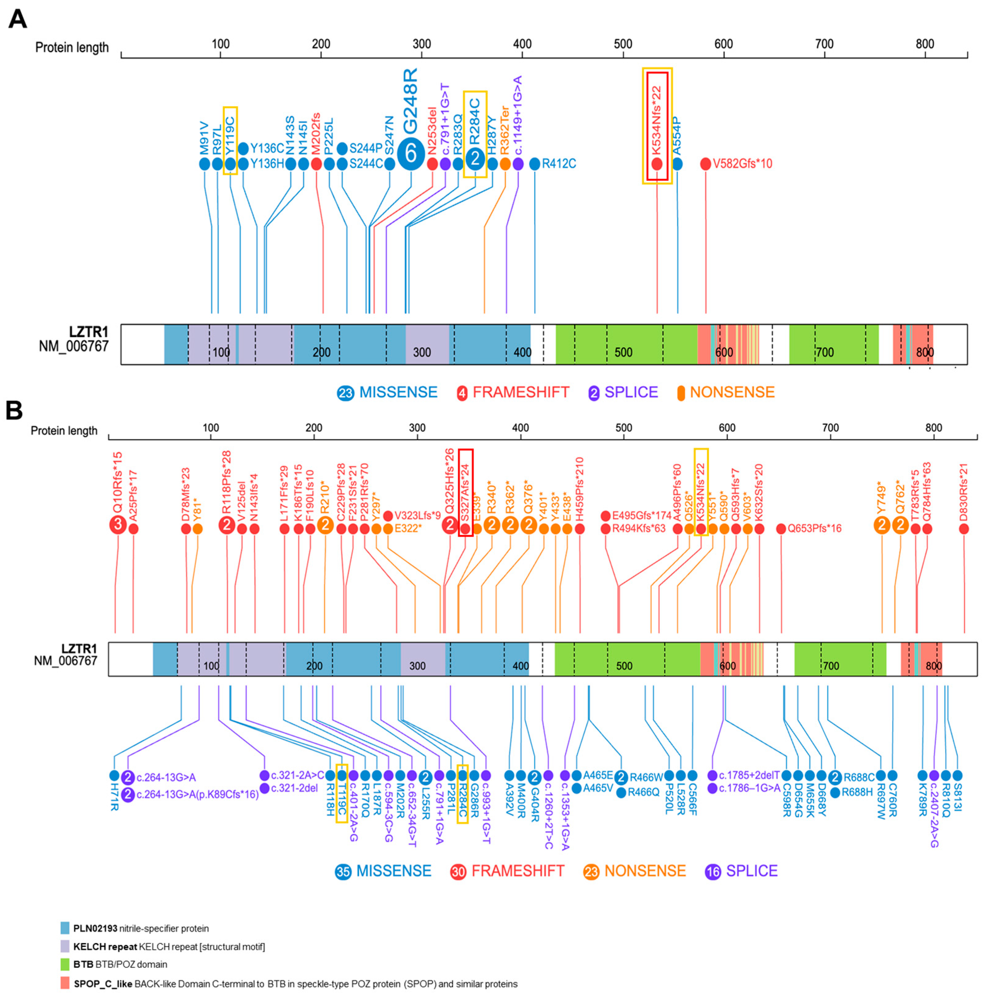 Genes 15 00916 g002 Genes 15 00916 g002