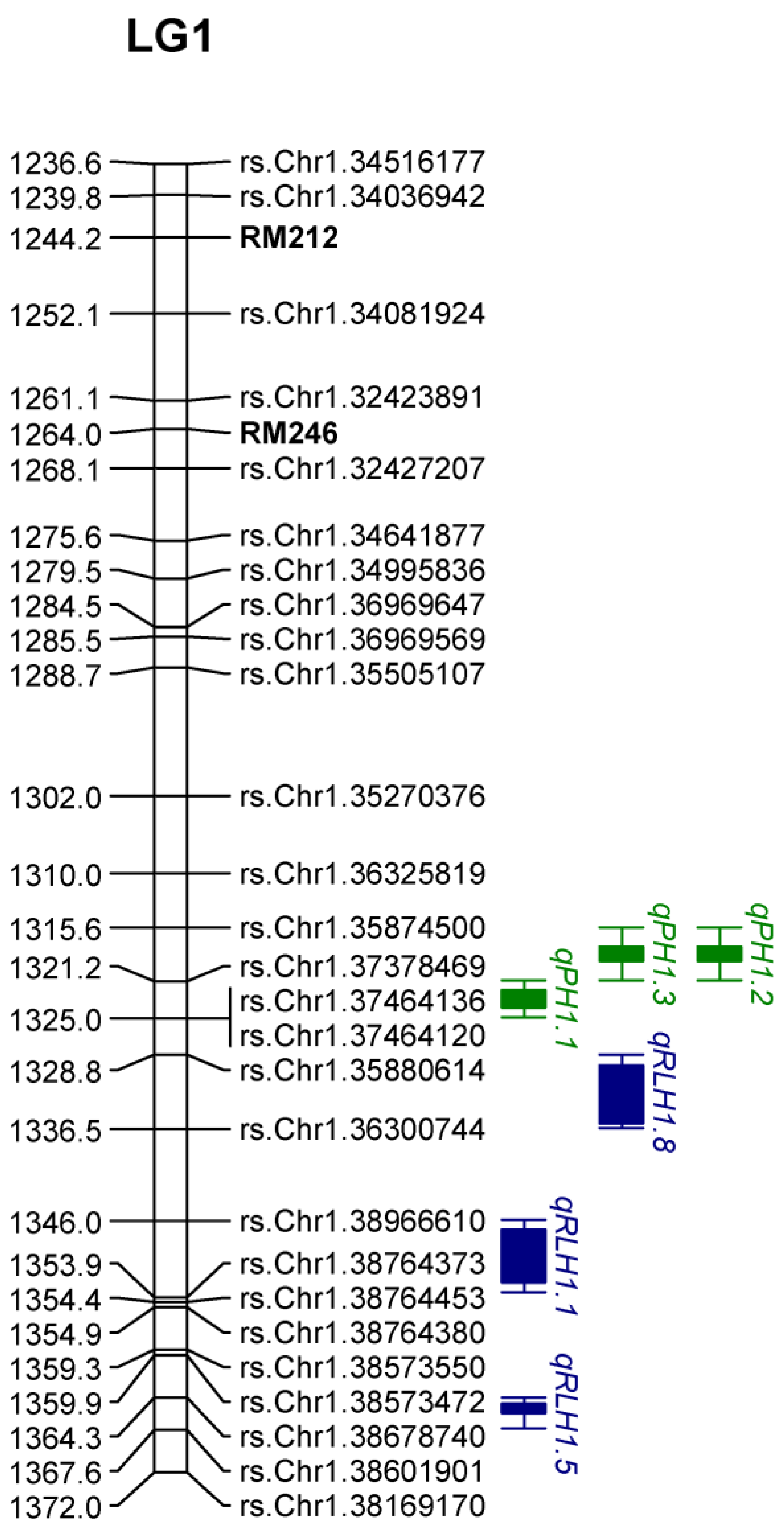 Genes 15 00919 g005 Genes 15 00919 g005