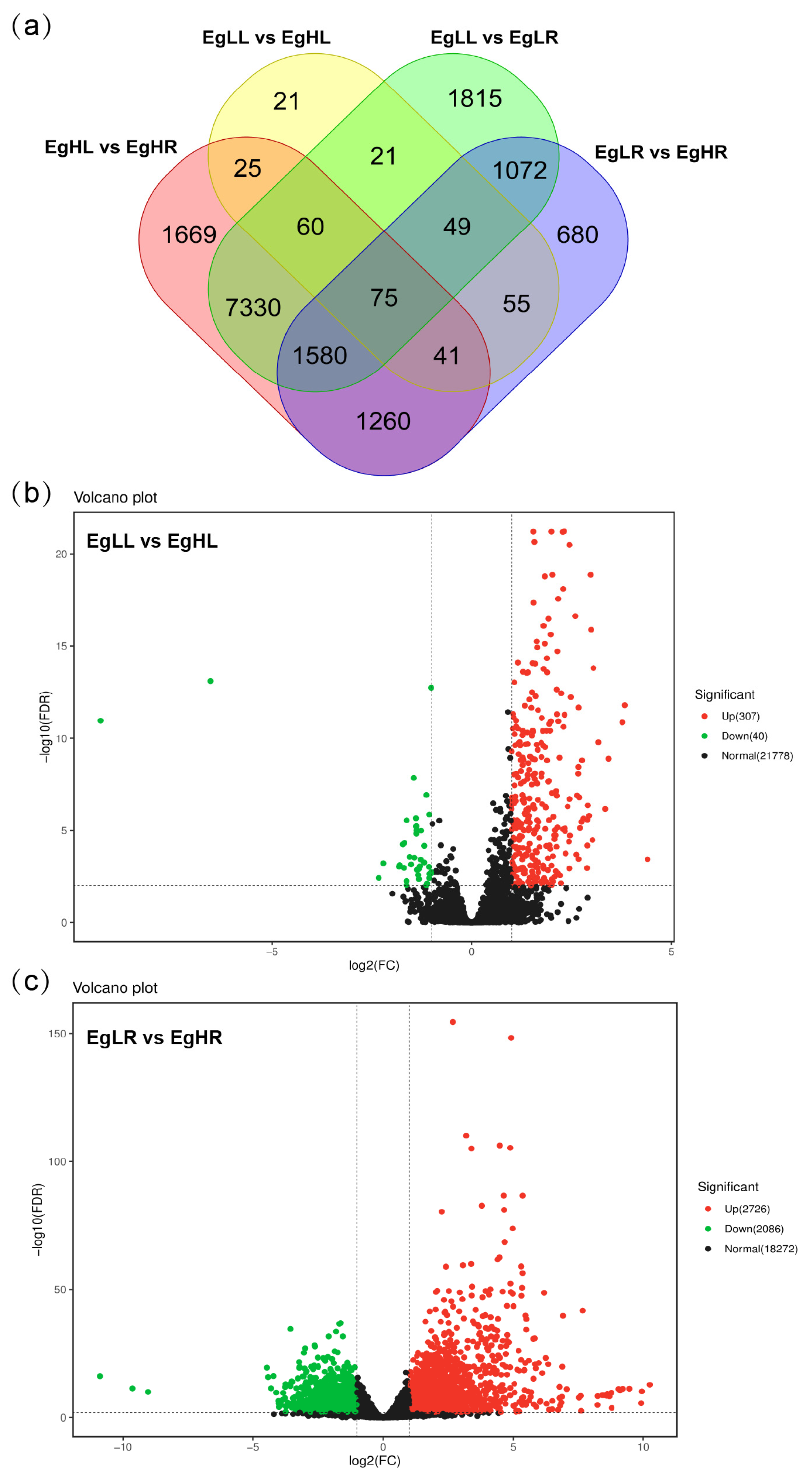Genes 15 00930 g005