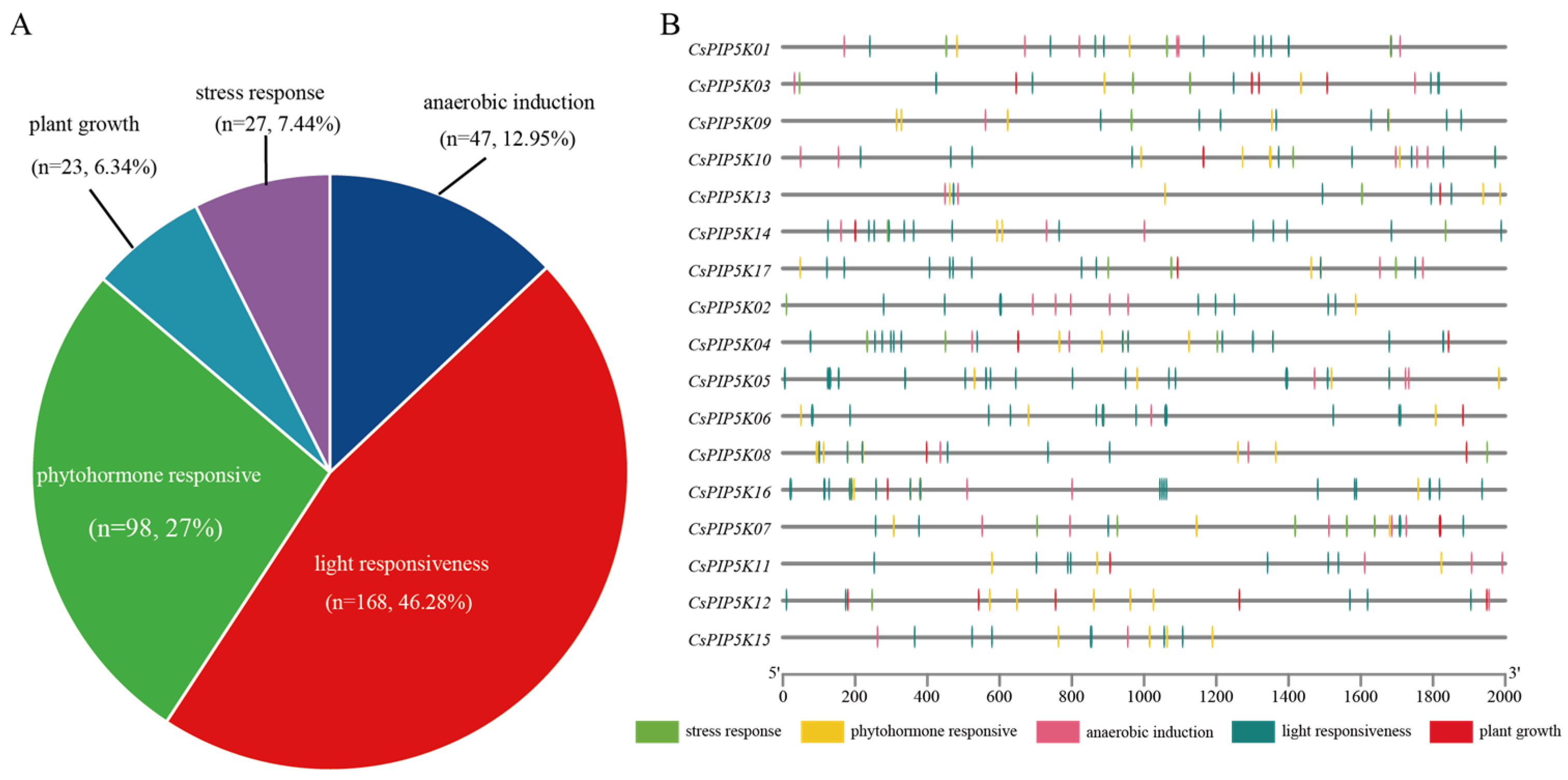 Genes 15 00932 g007
