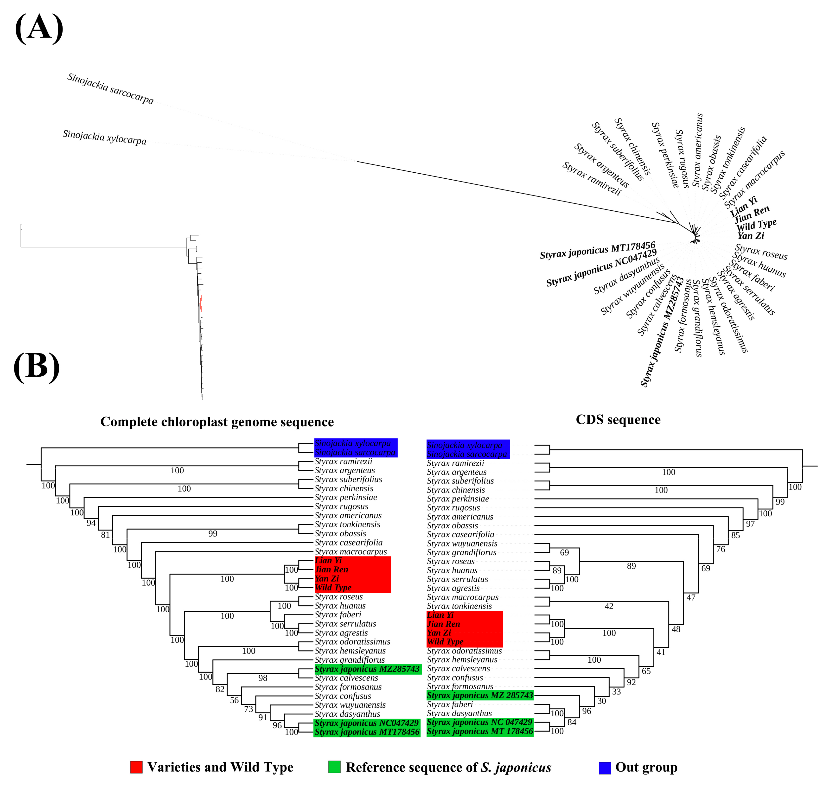 Genes 15 00940 g005