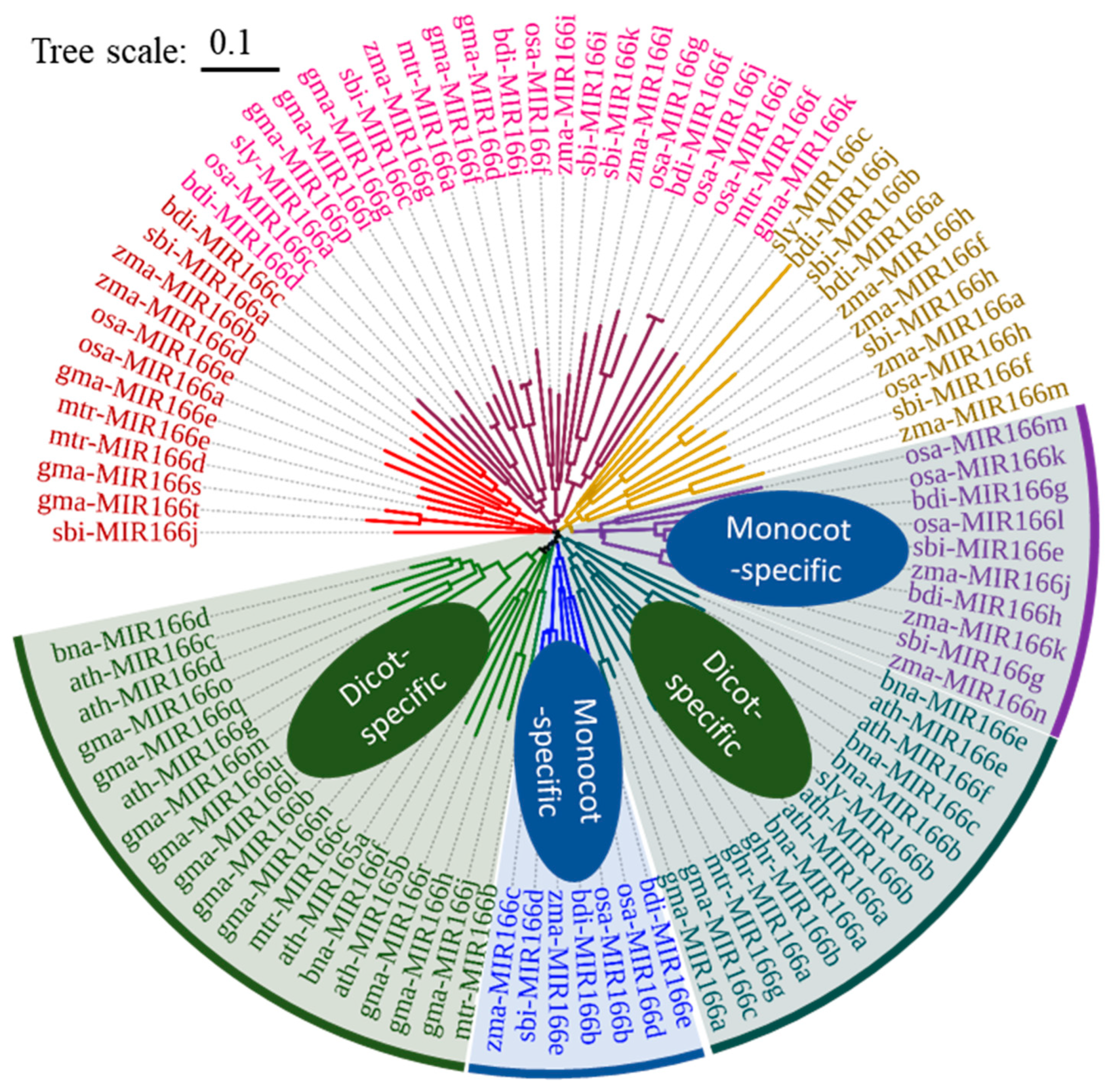 Genes 15 00944 g001