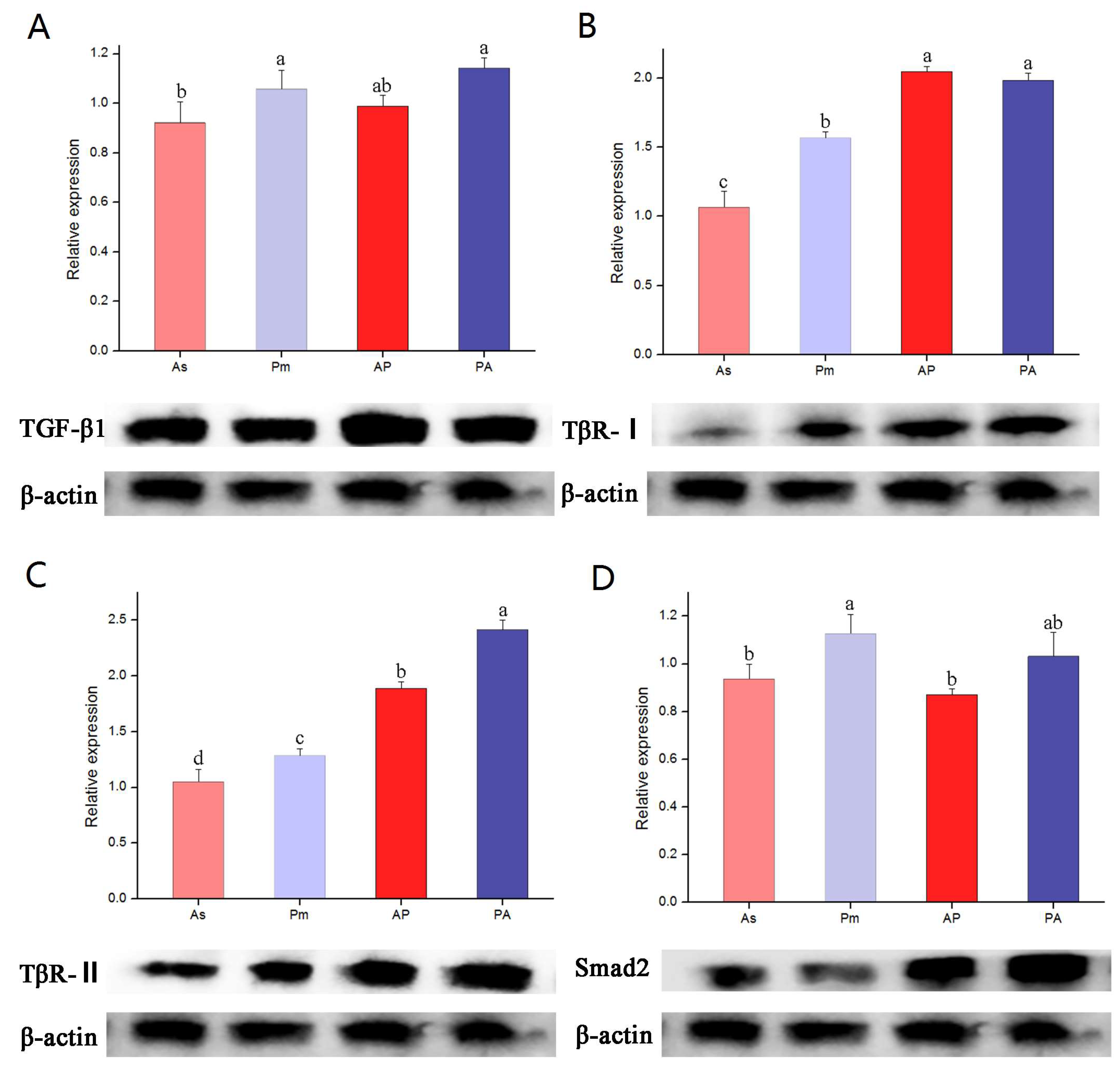 Genes 15 00945 g003 Genes 15 00945 g003