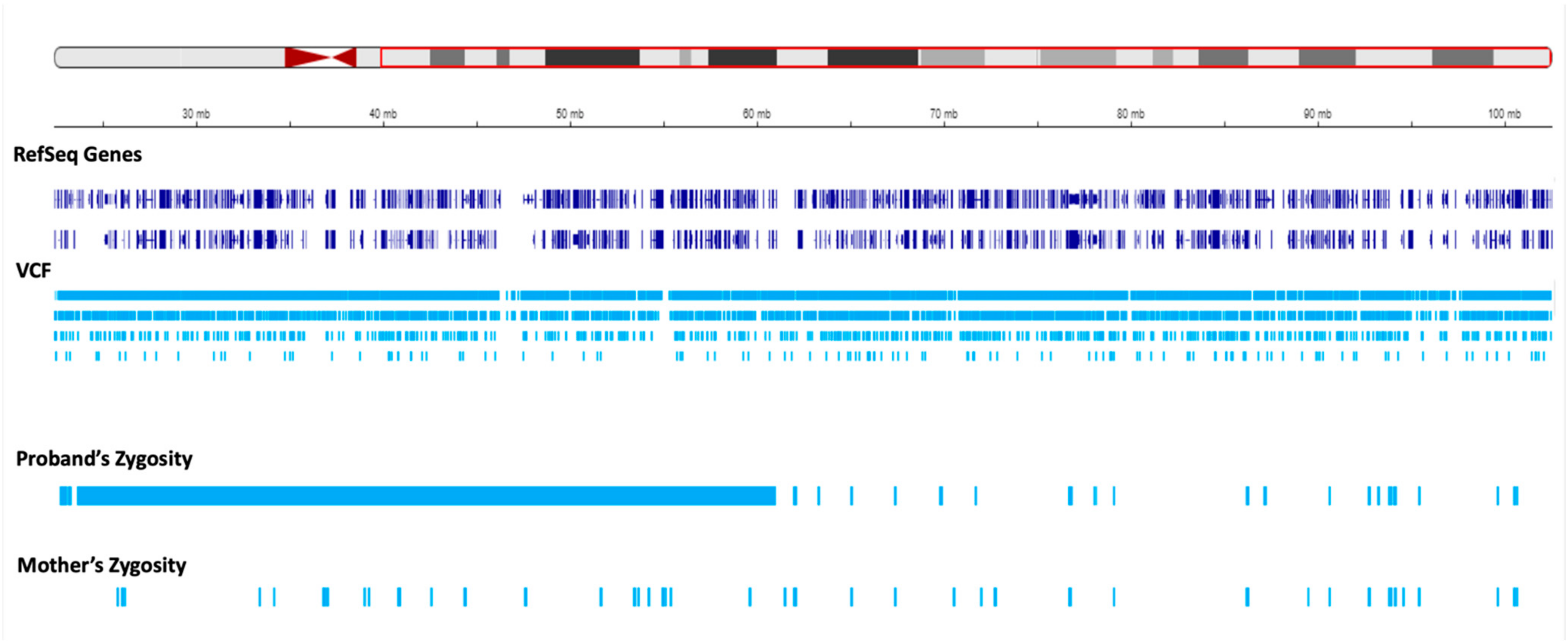 Genes 15 00946 g003