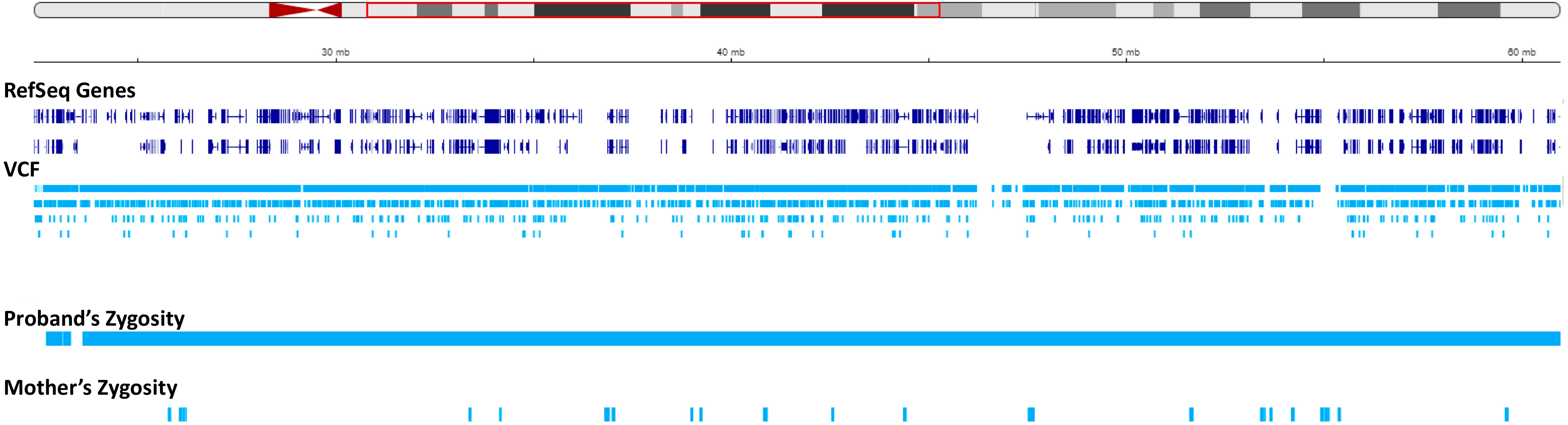 Genes 15 00946 g004