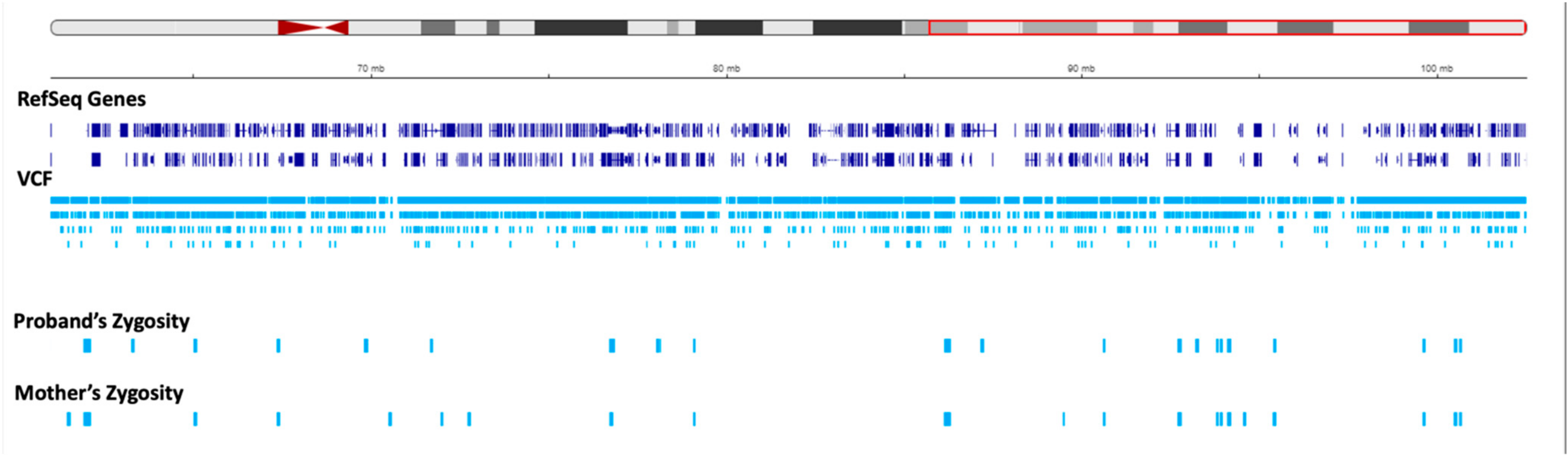Genes 15 00946 g005