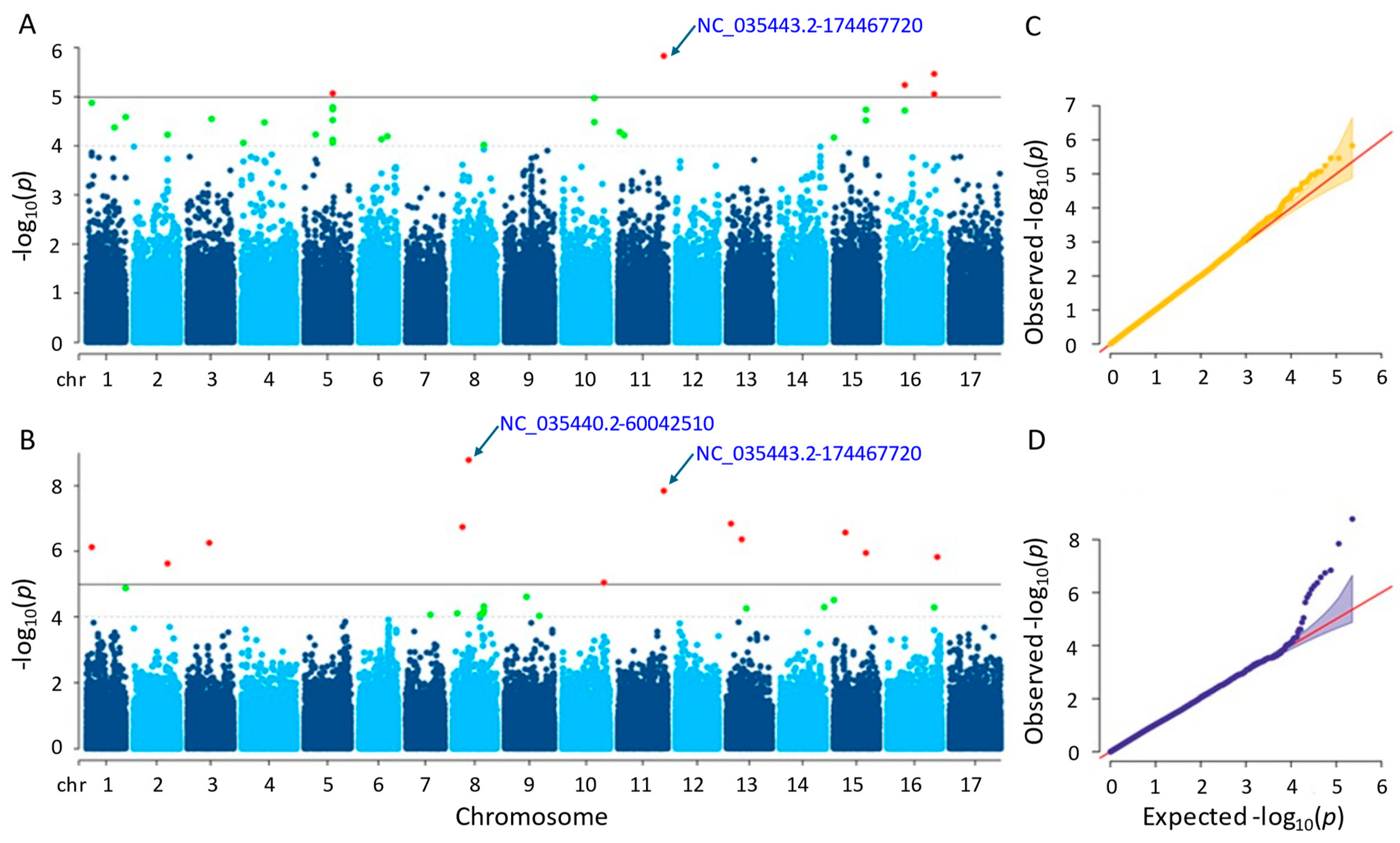 Genes 15 00950 g005