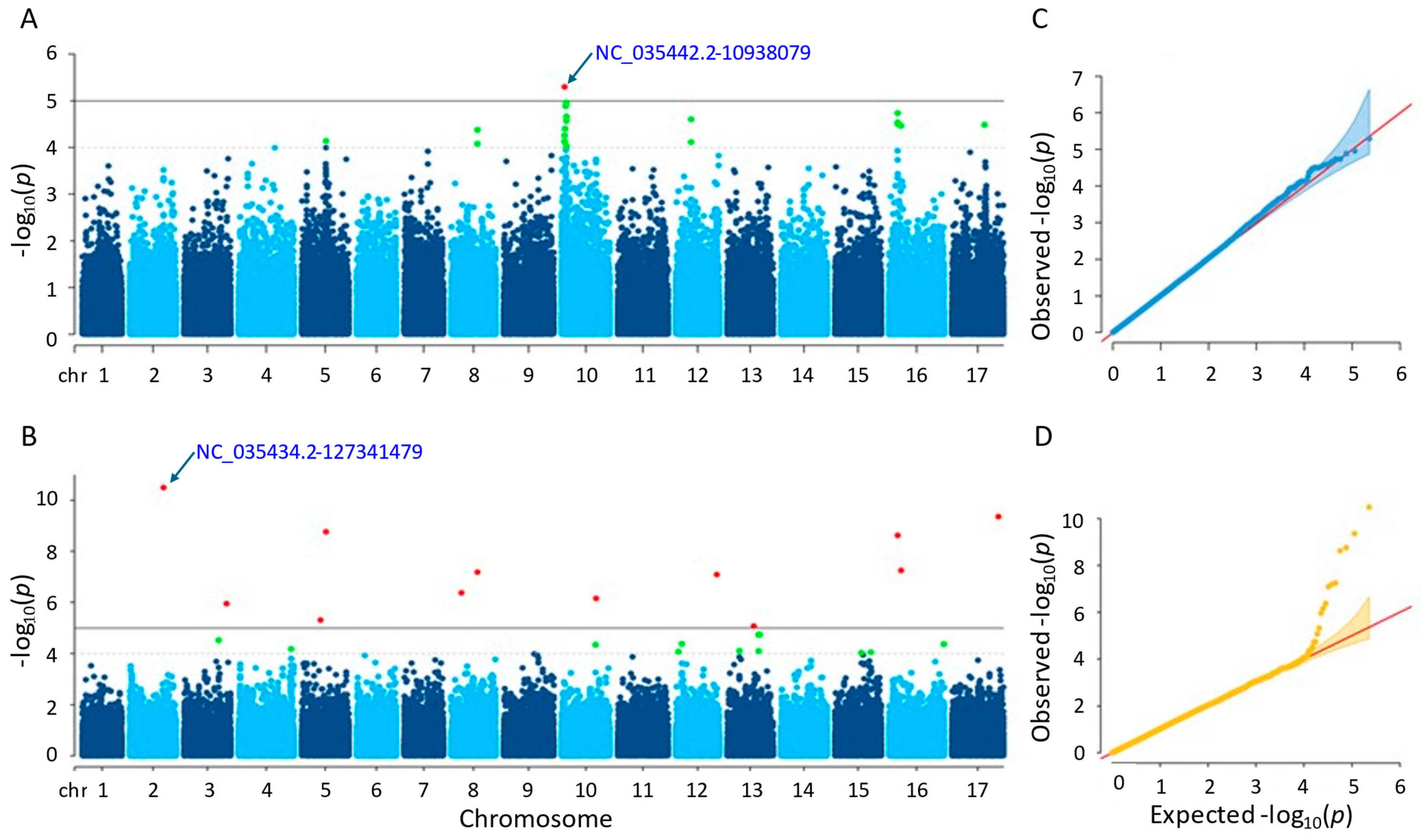 Genes 15 00950 g006