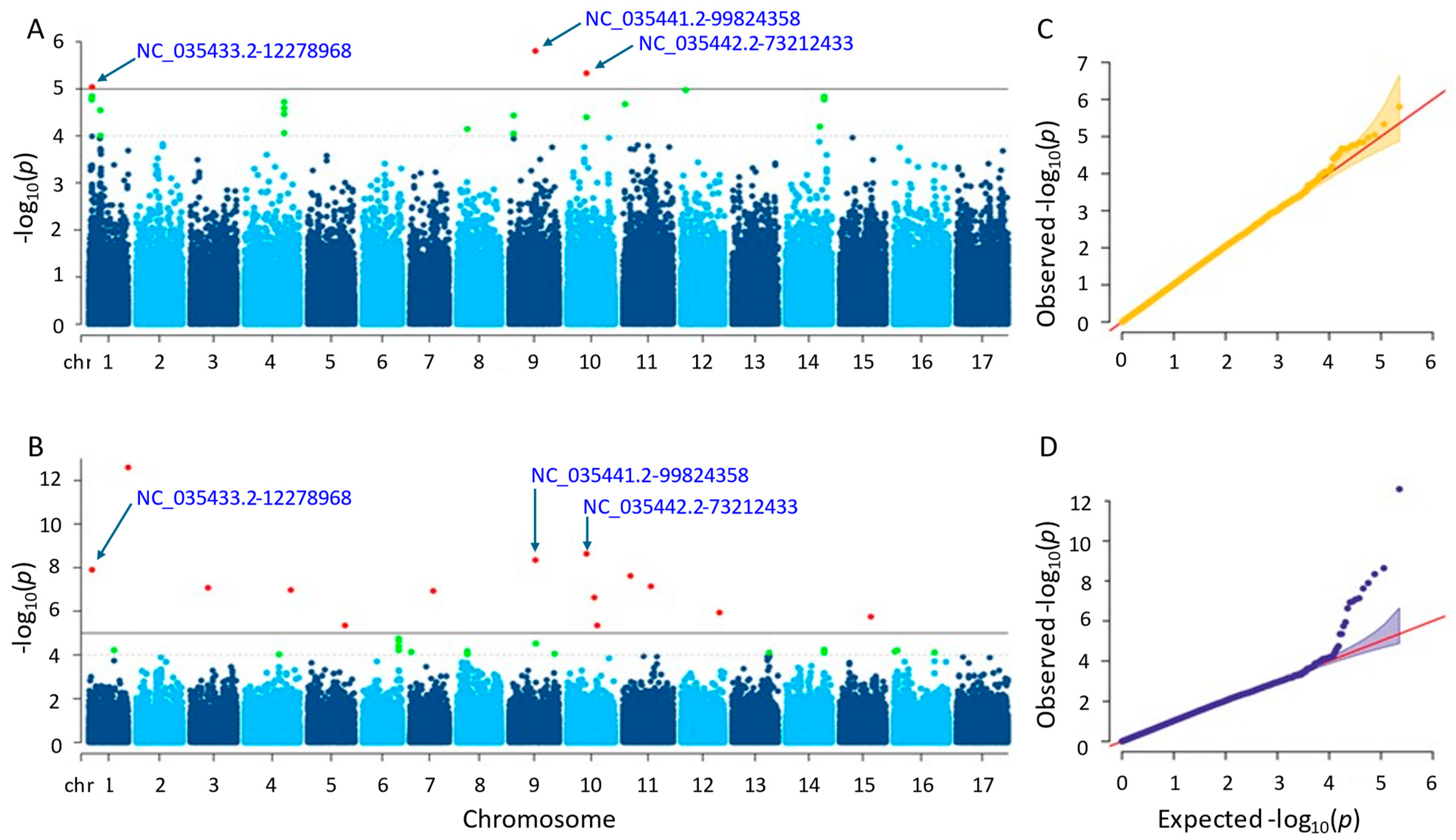 Genes 15 00950 g008
