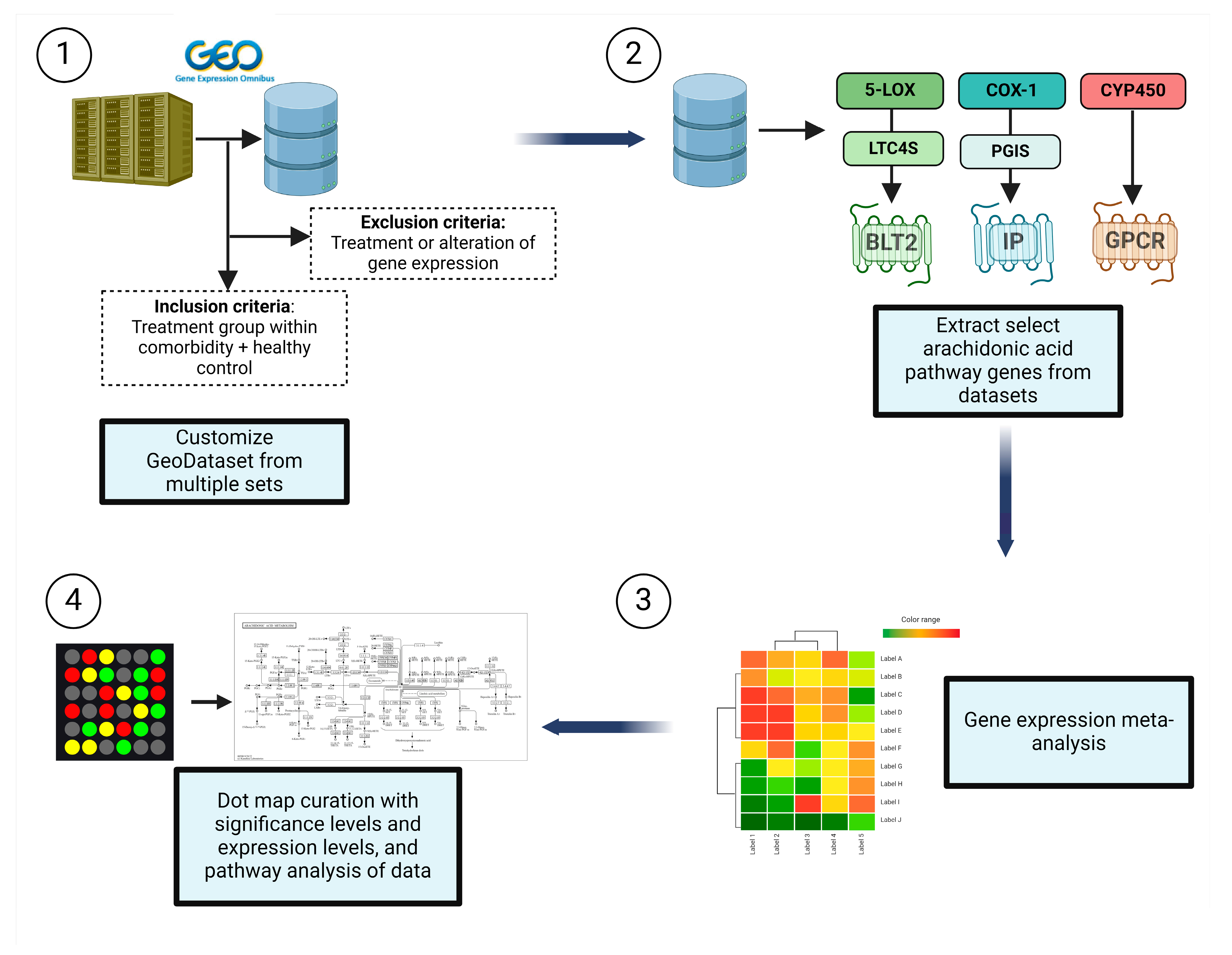 Genes 15 00954 g002