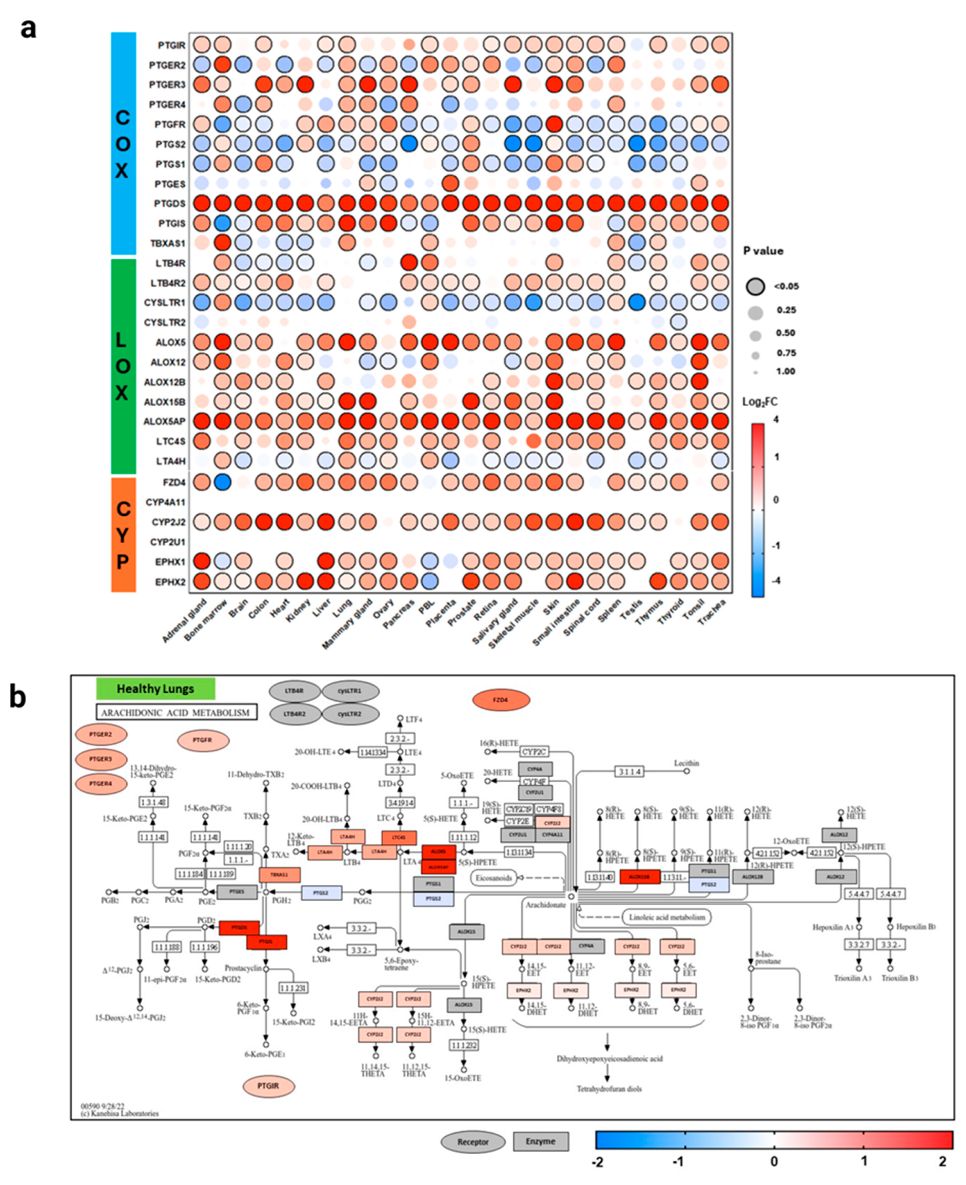 Genes 15 00954 g004a