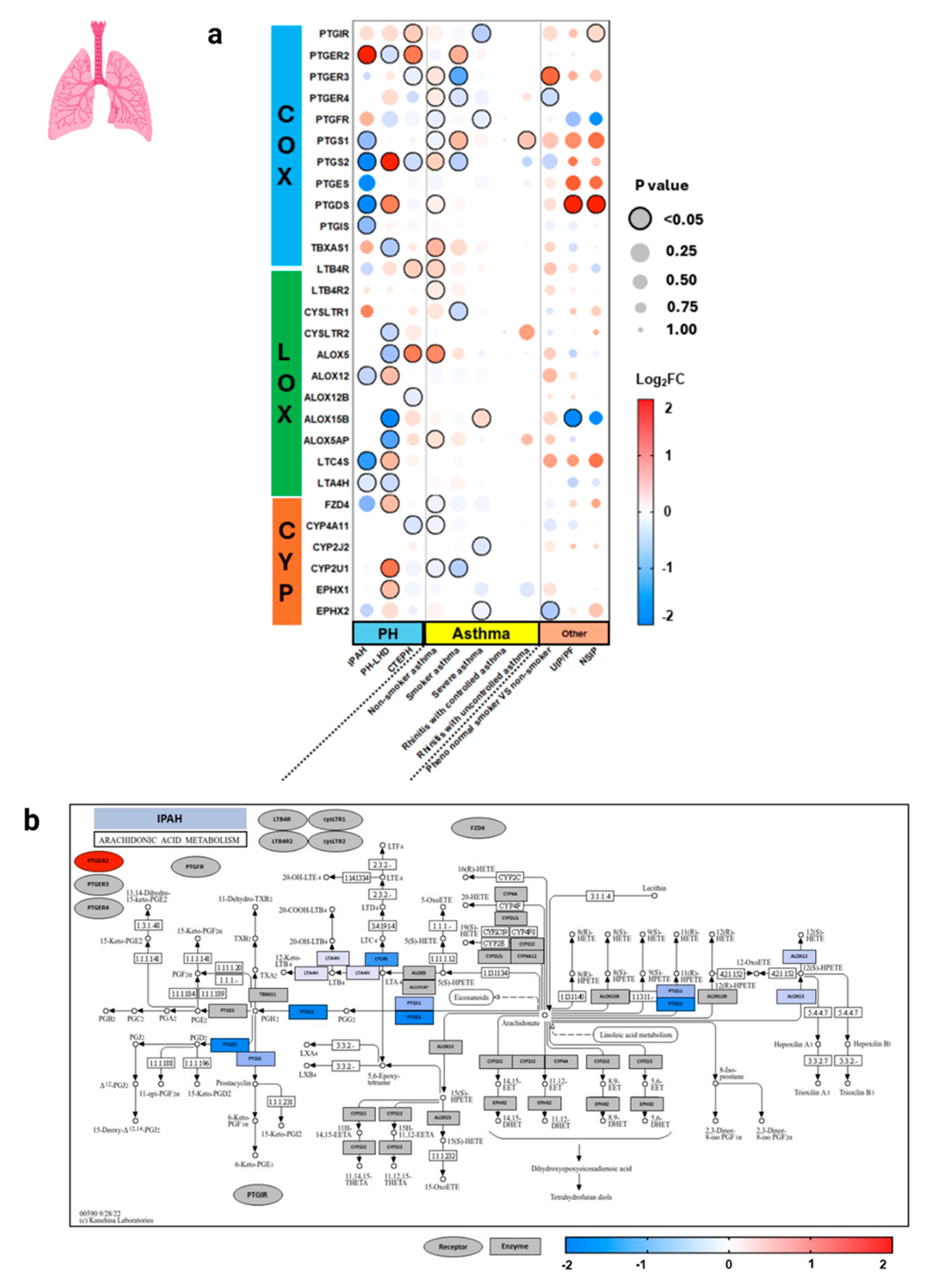 Genes 15 00954 g005a