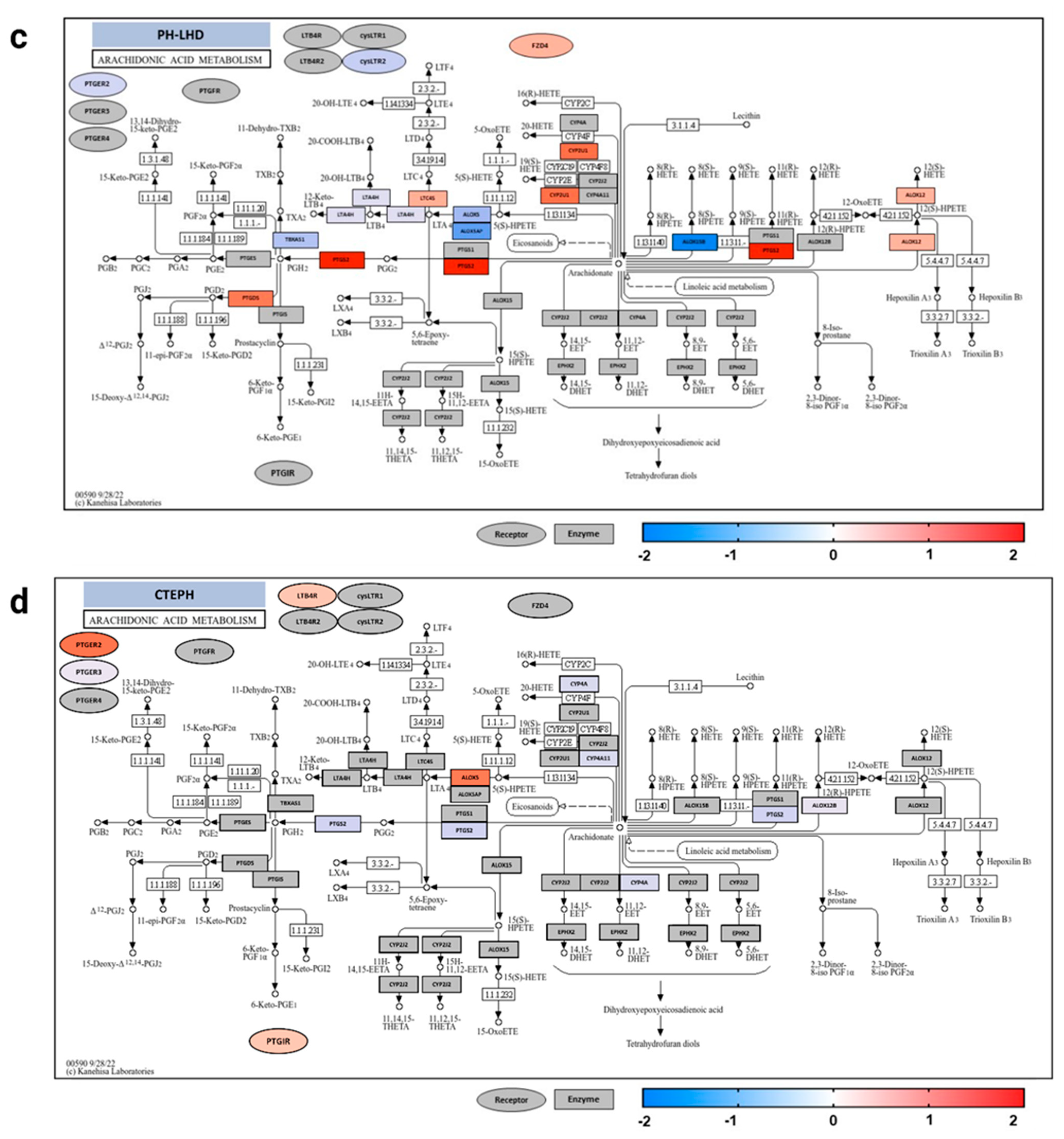 Genes 15 00954 g005b