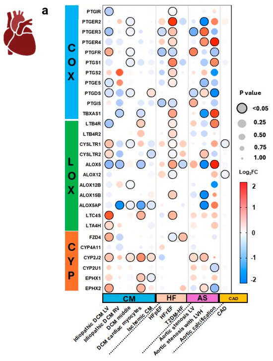 Transcriptomic Analysis of Arachidonic Acid Pathway Genes Provides