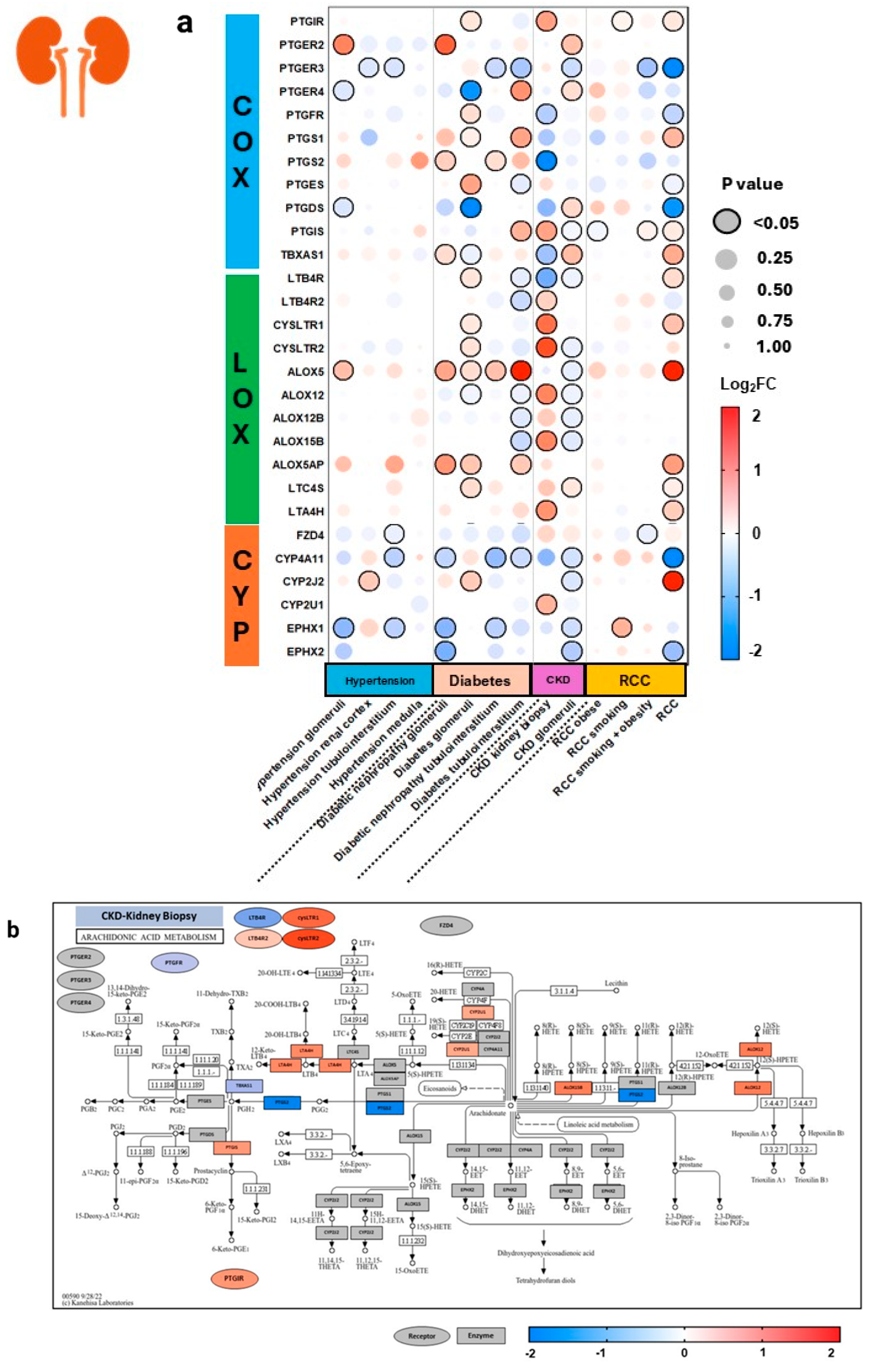 Genes 15 00954 g007a