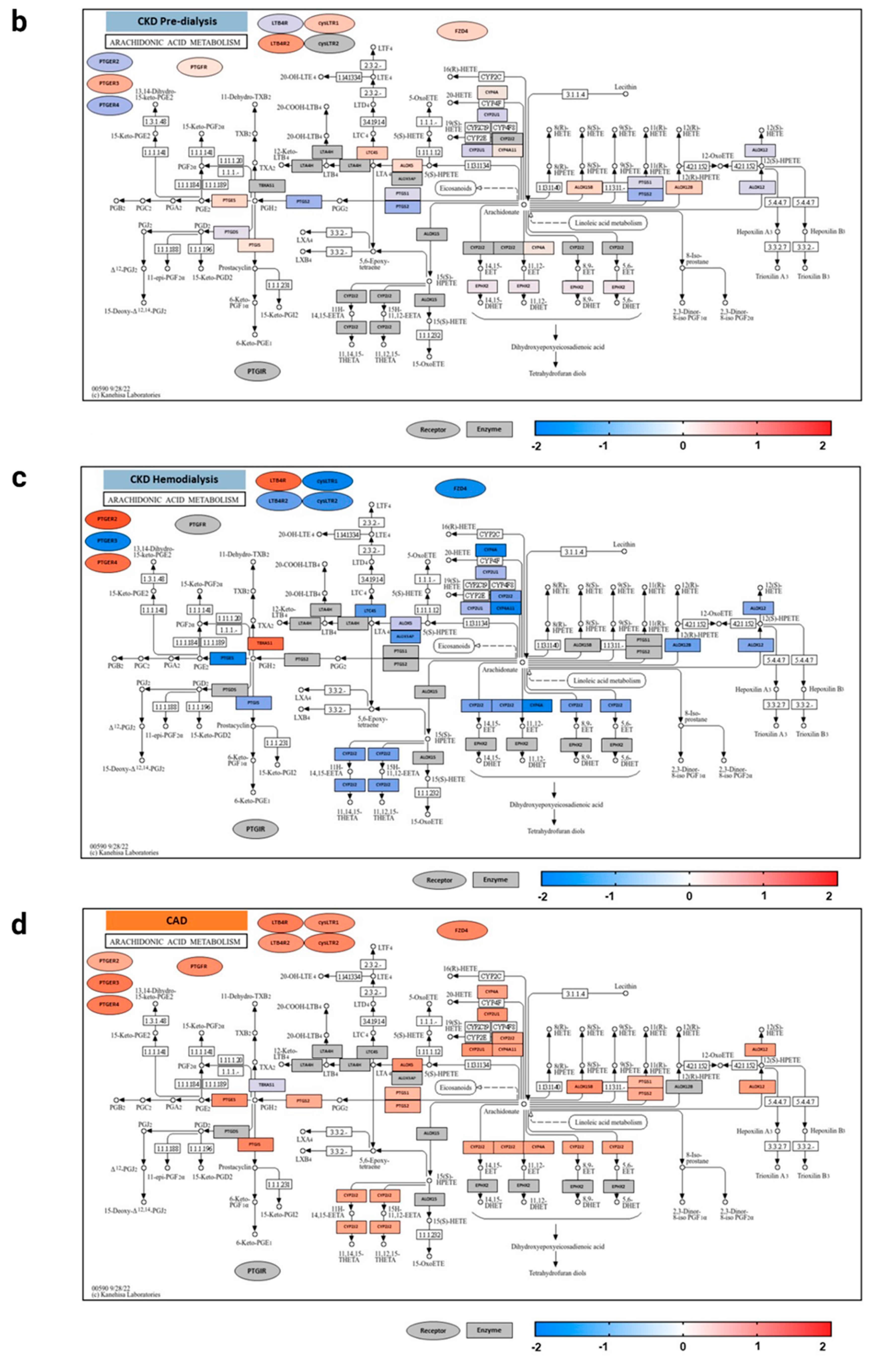 Genes 15 00954 g008b