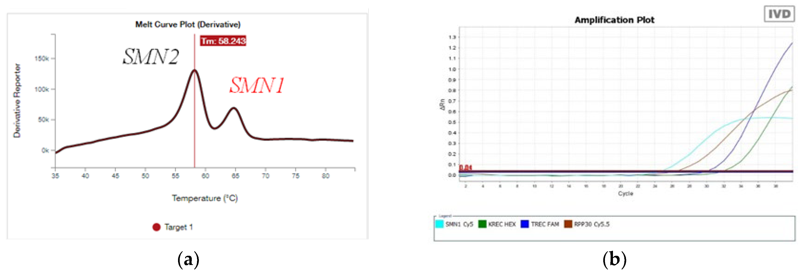 Genes 15 00956 g001a