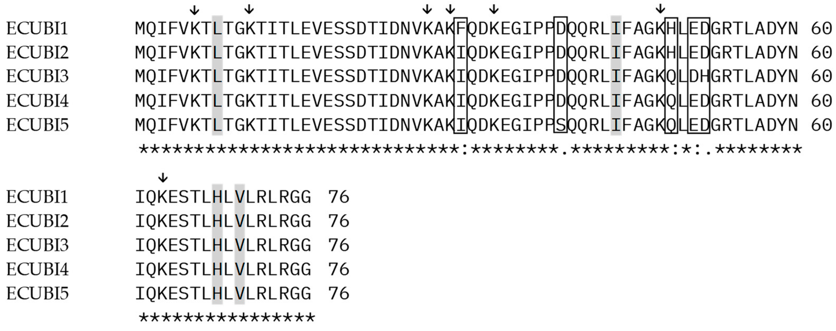 Genes 15 00957 g003