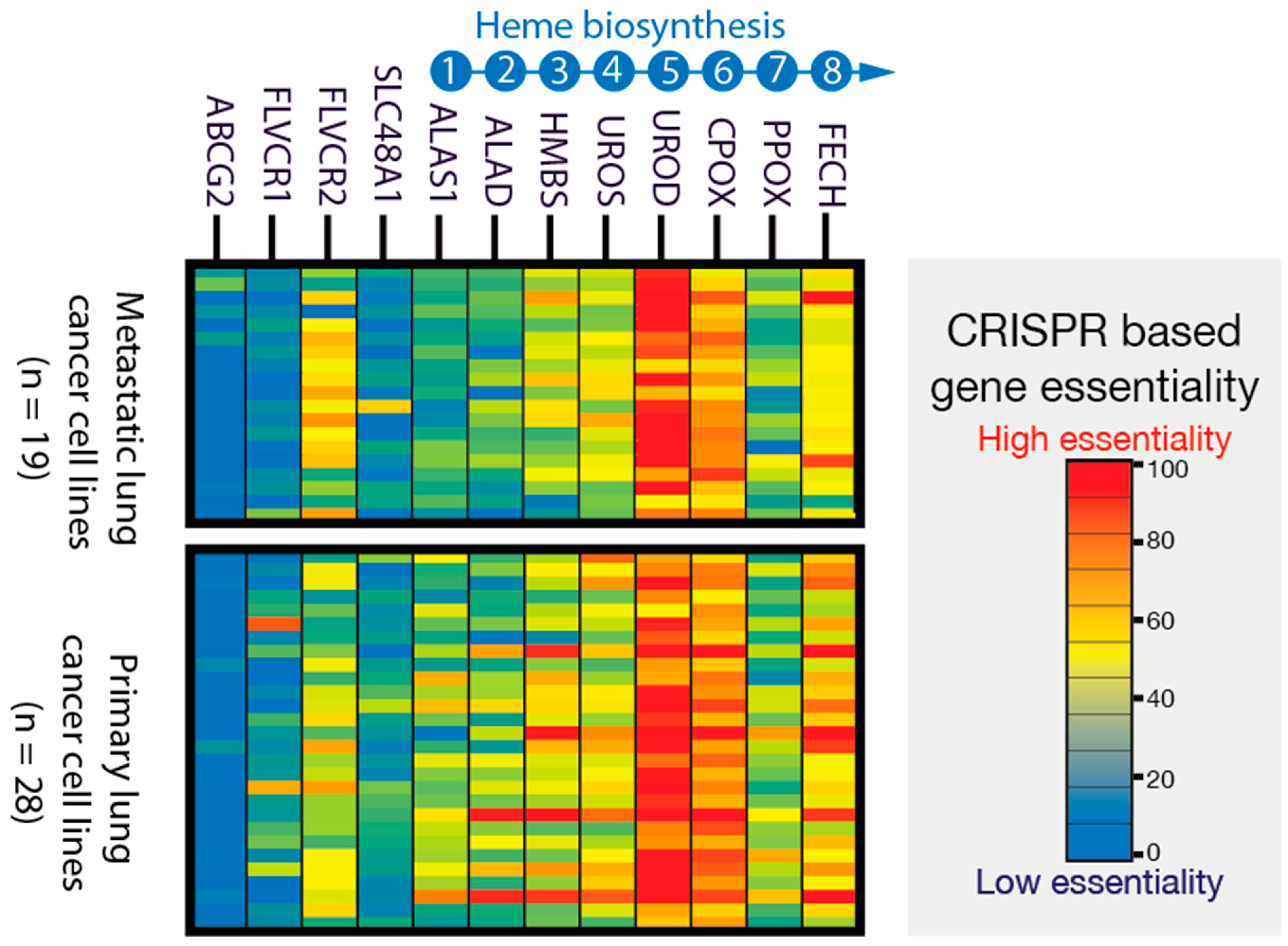 Genes 15 00961 g002 Genes 15 00961 g002