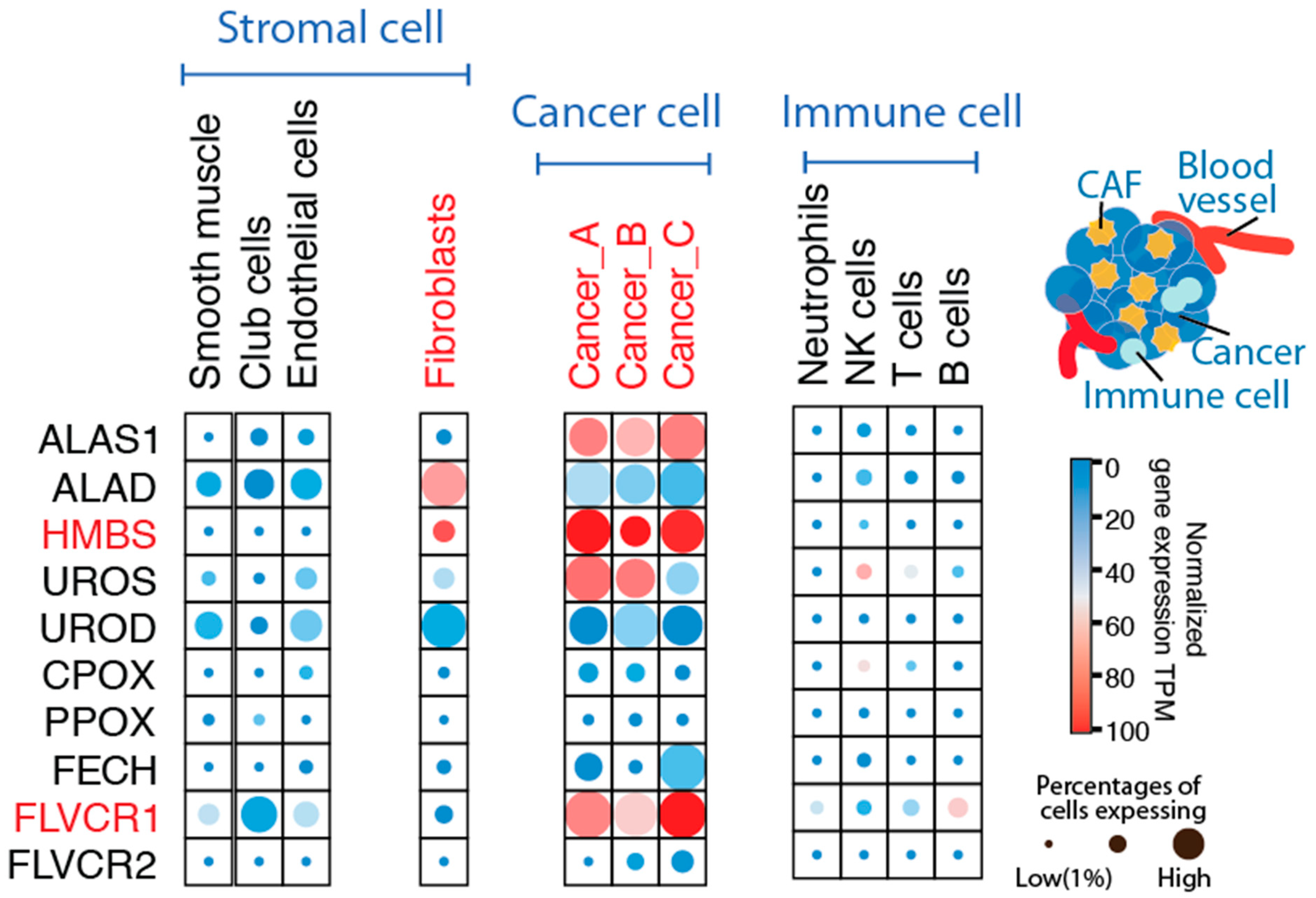 Genes 15 00961 g003 Genes 15 00961 g003