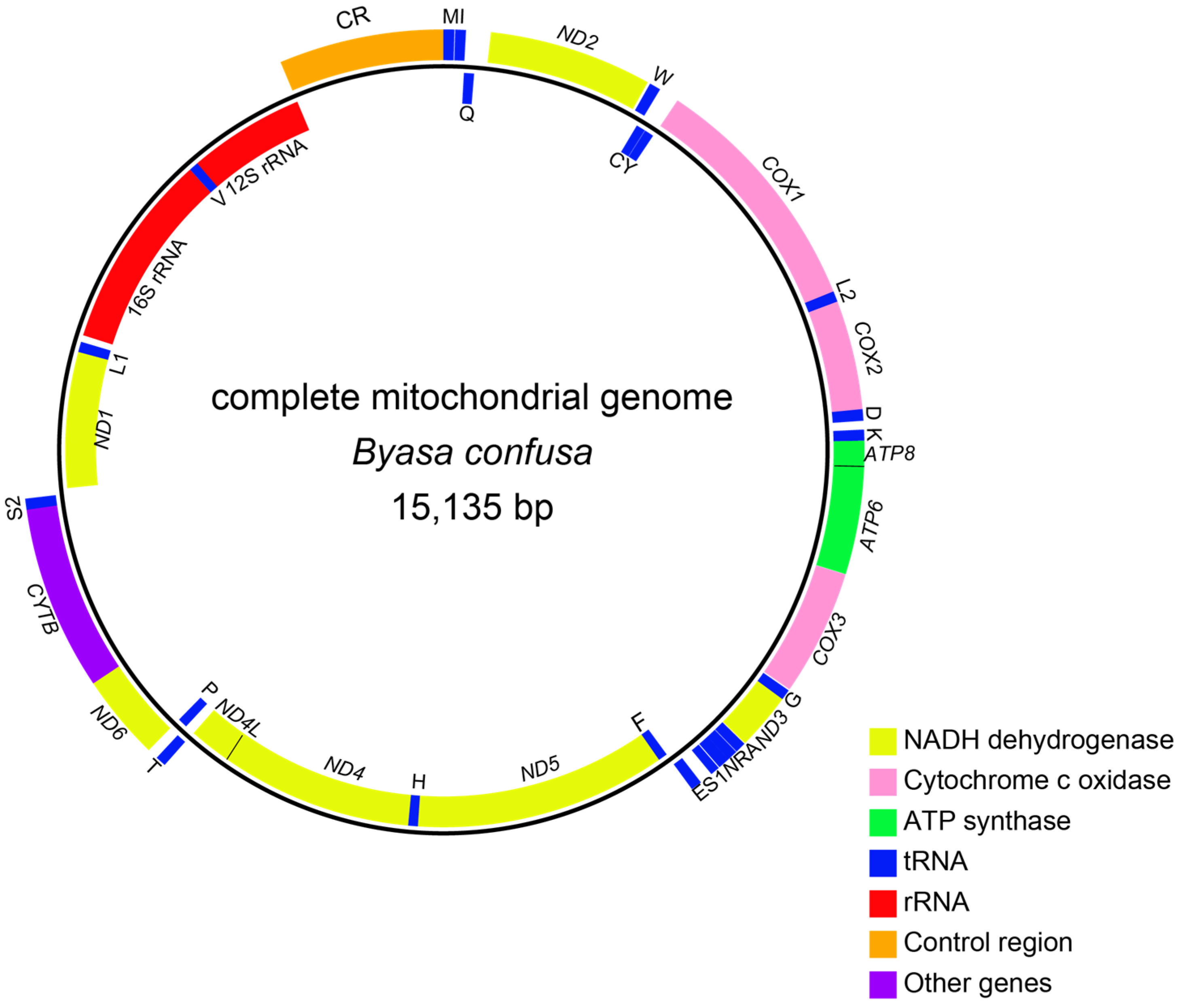 Genes 15 00964 g002