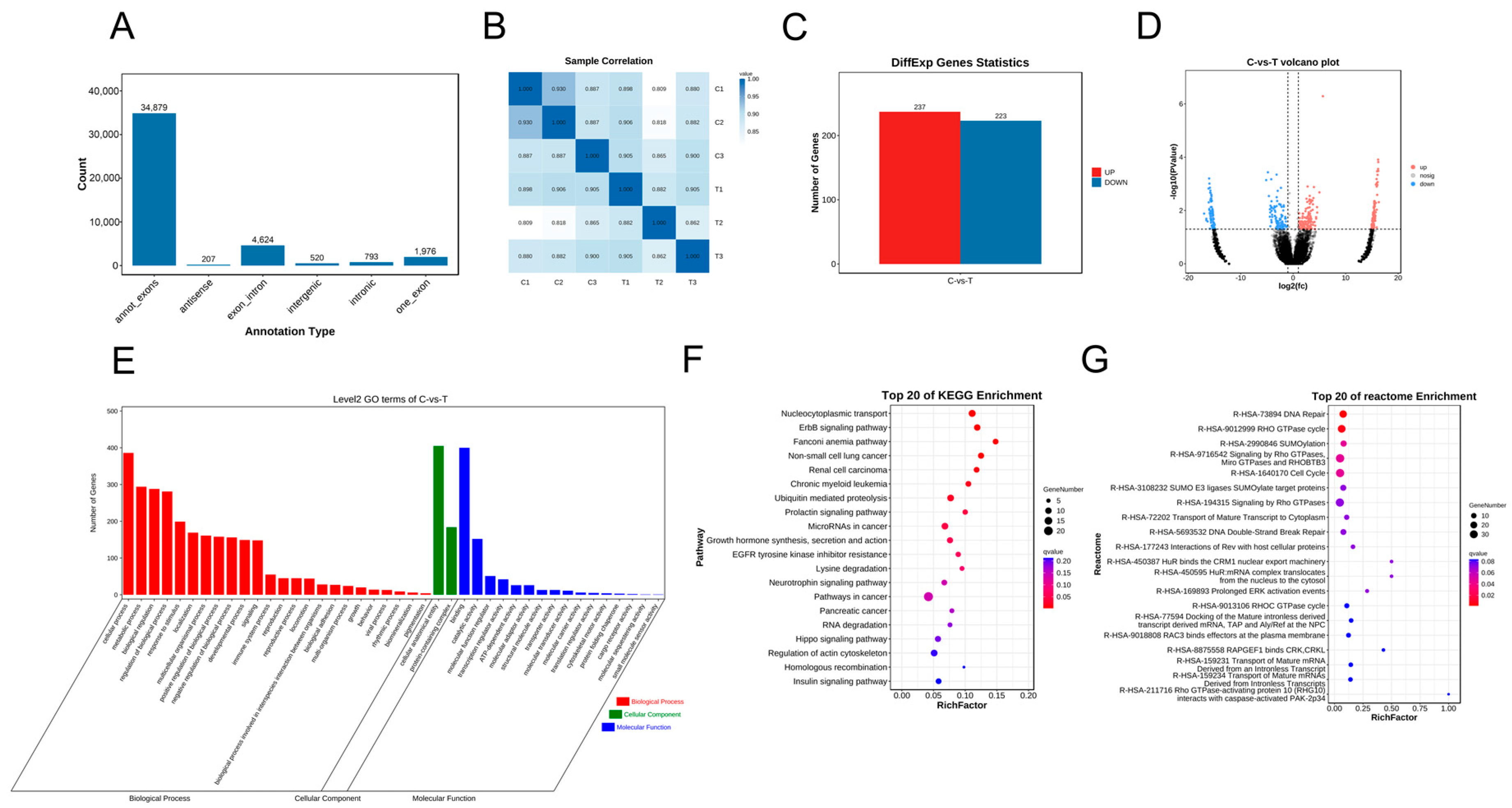 Genes 15 00965 g003