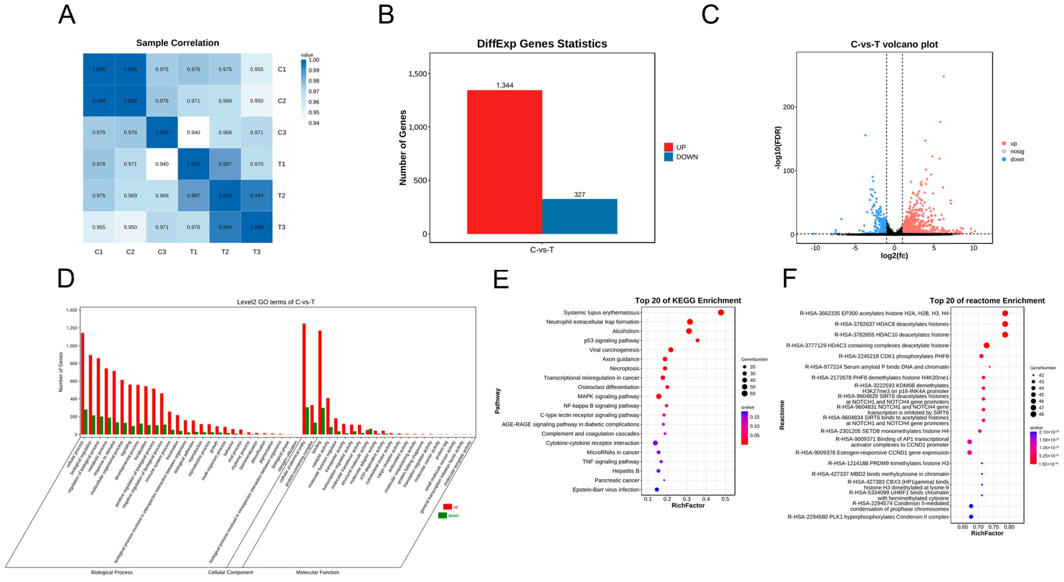 Genes 15 00965 g004