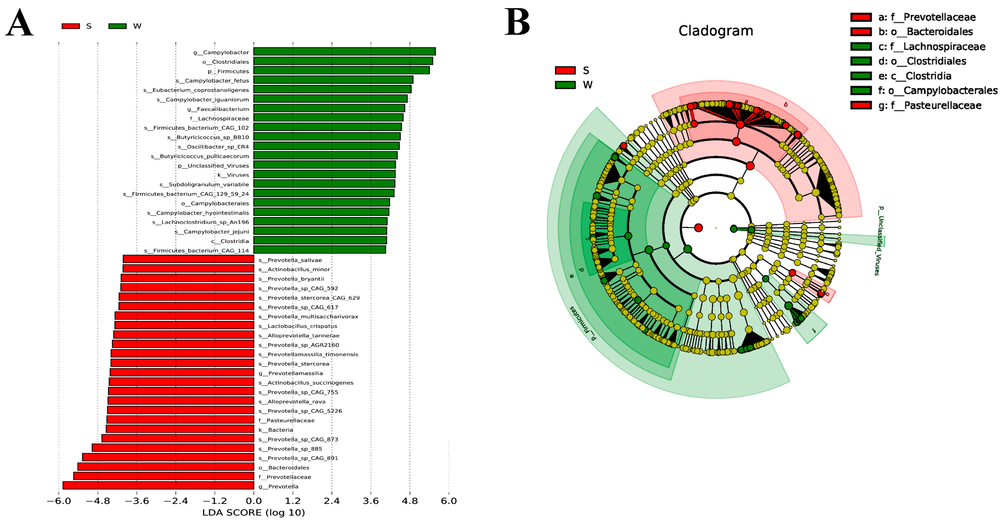 Genes 15 00970 g004