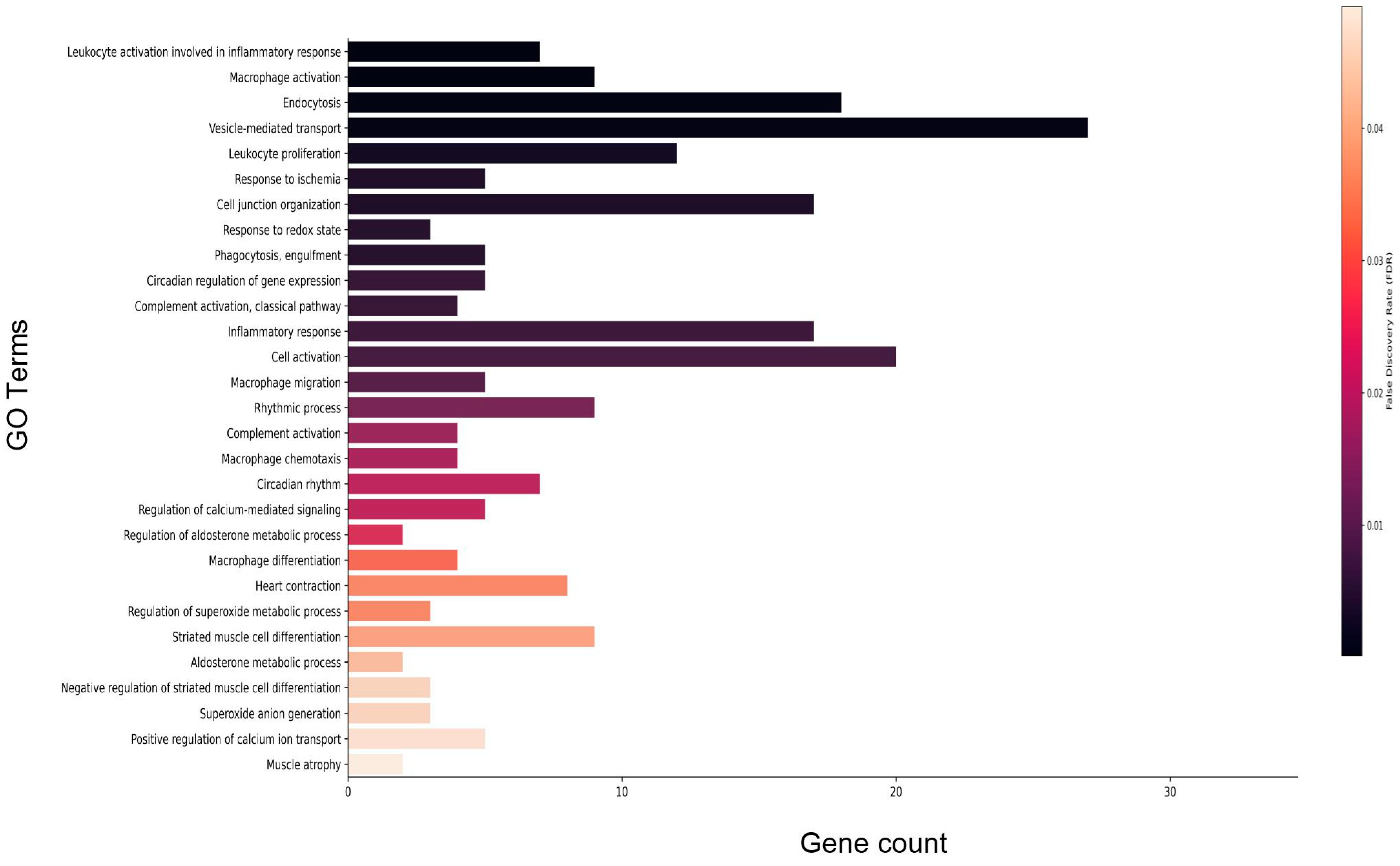 Genes 15 00975 g007 Genes 15 00975 g007