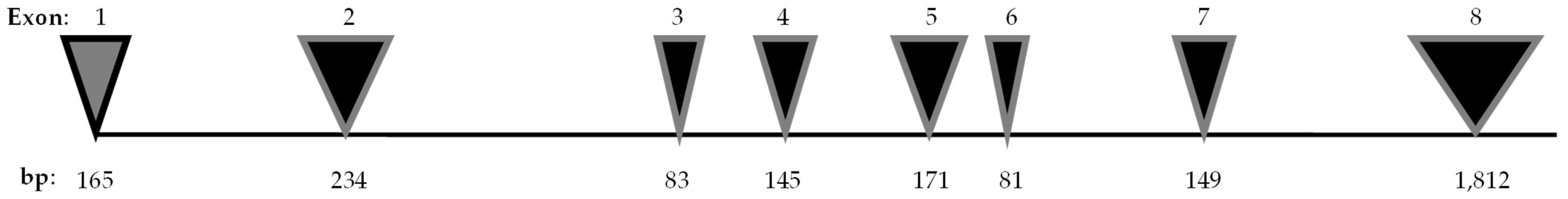 Genes 15 00984 g001 Genes 15 00984 g001