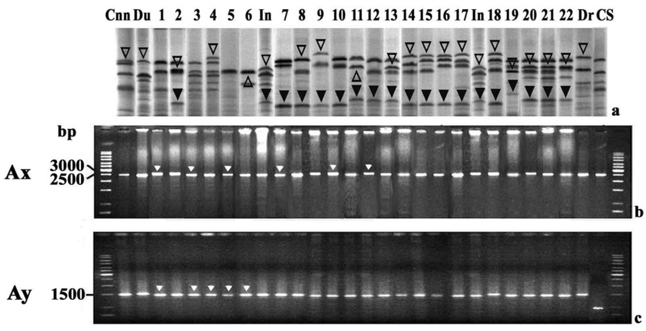 Genes 15 00986 g003