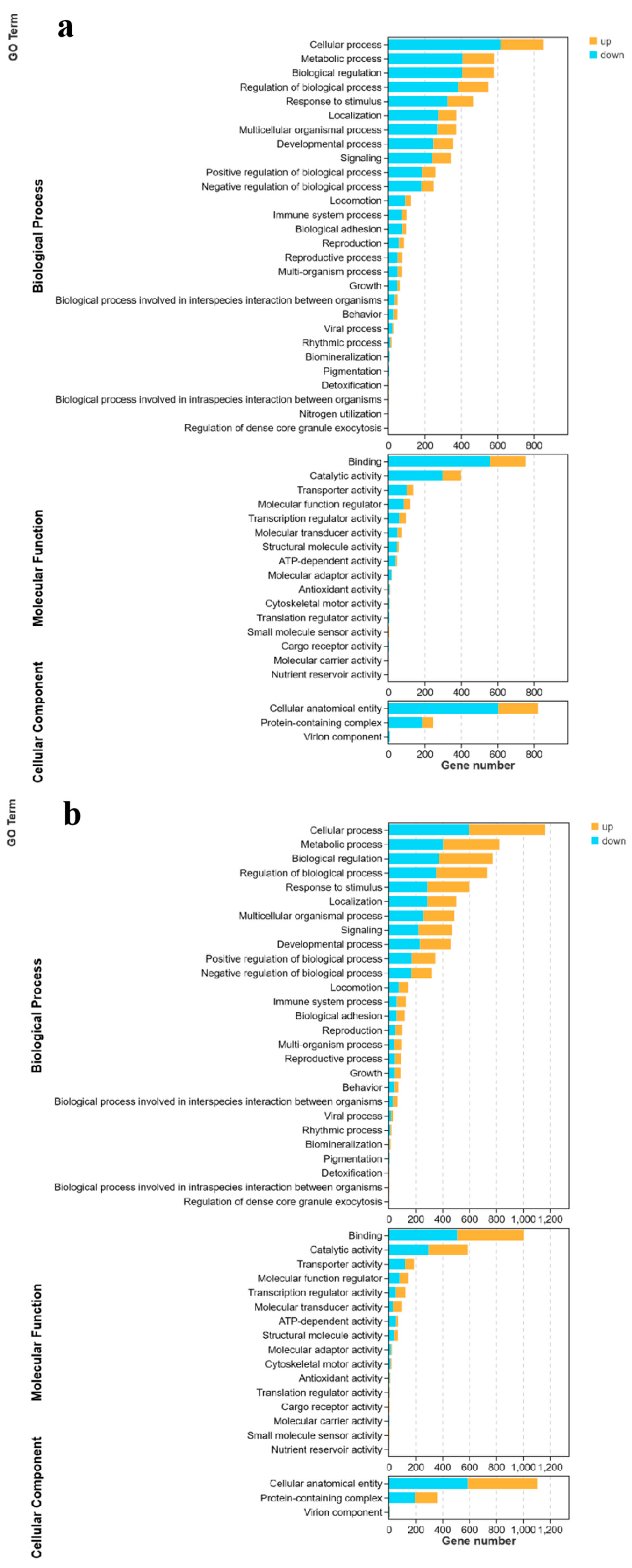 Genes 15 00987 g004a