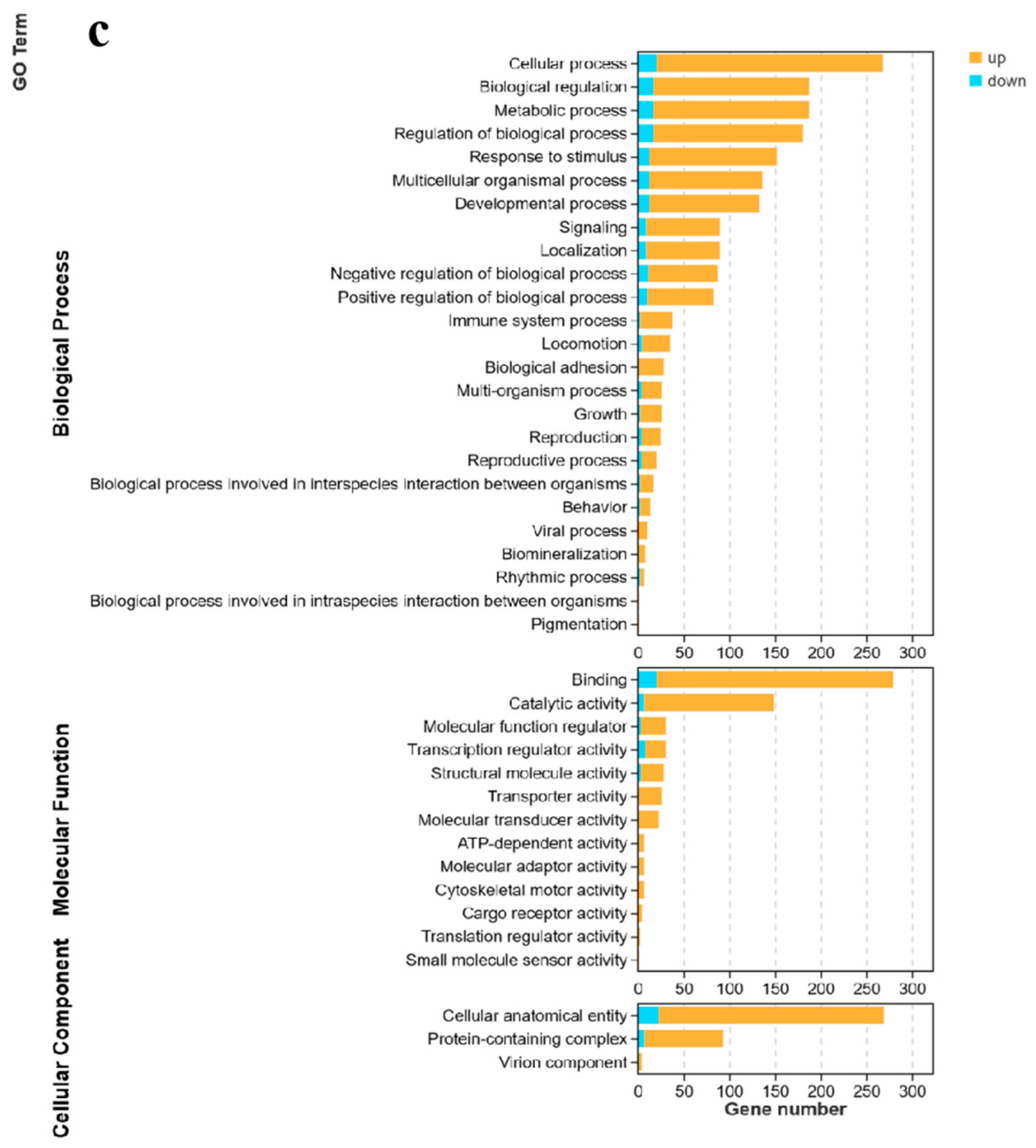 Genes 15 00987 g004b