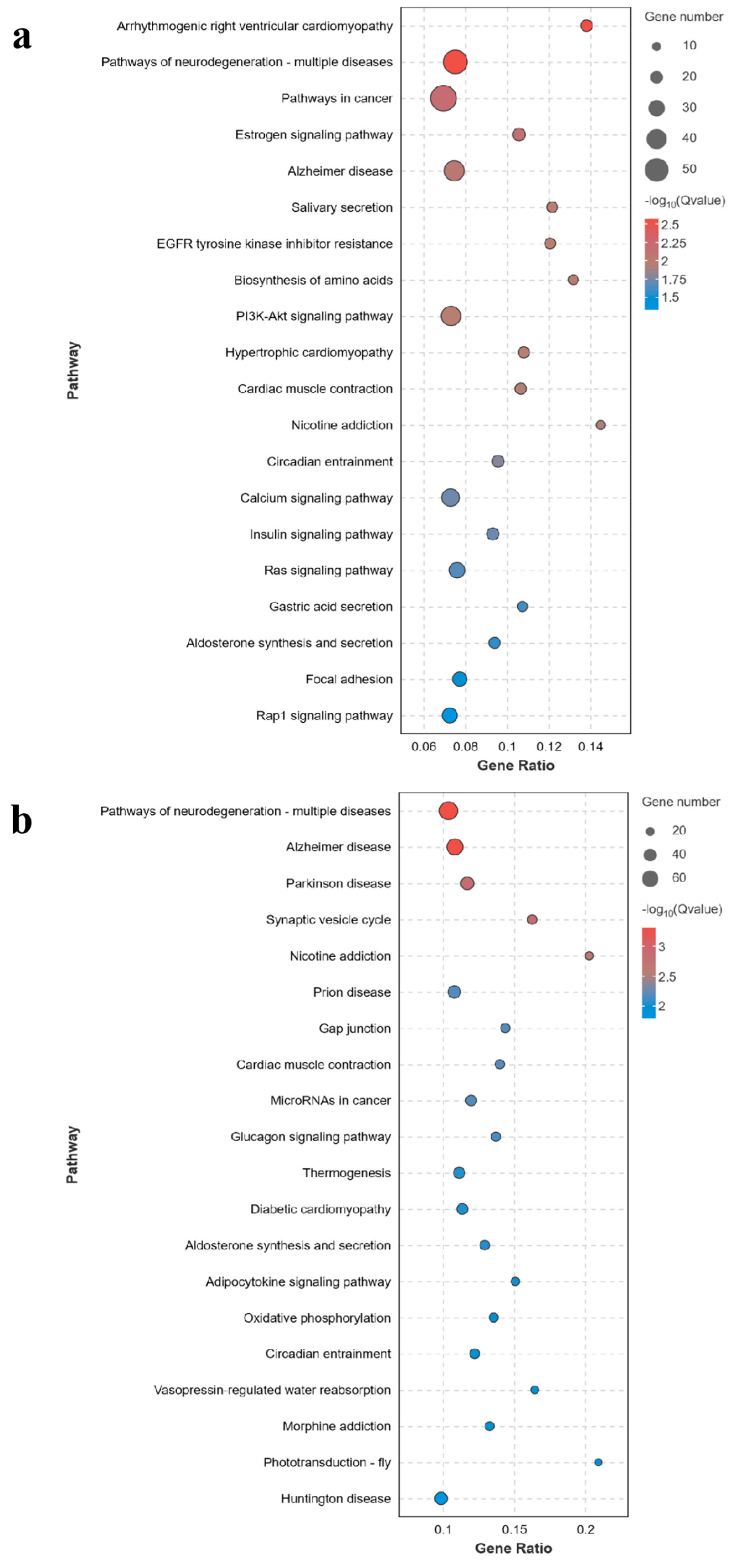 Genes 15 00987 g005a