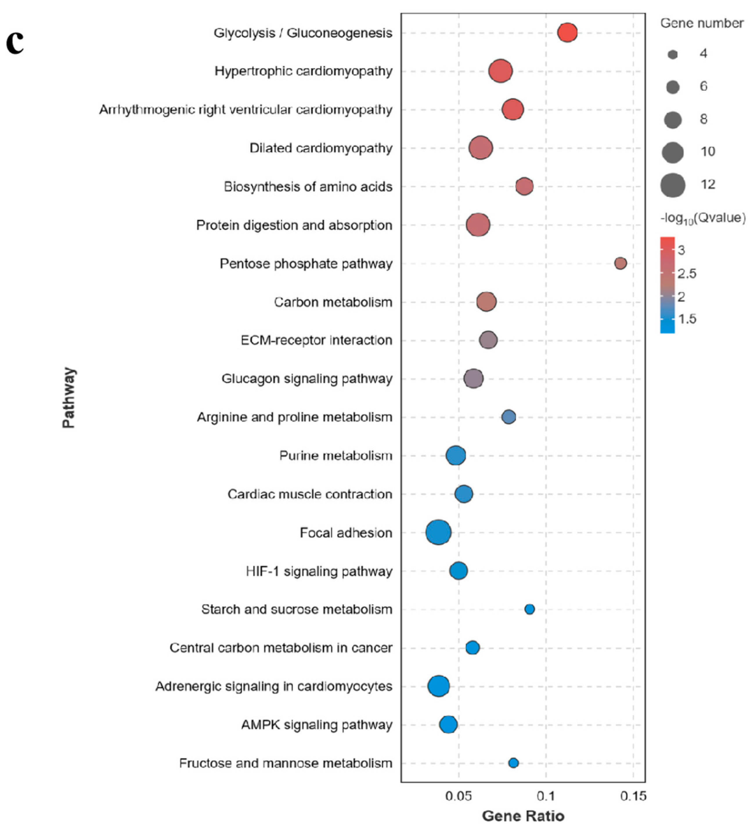 Genes 15 00987 g005b