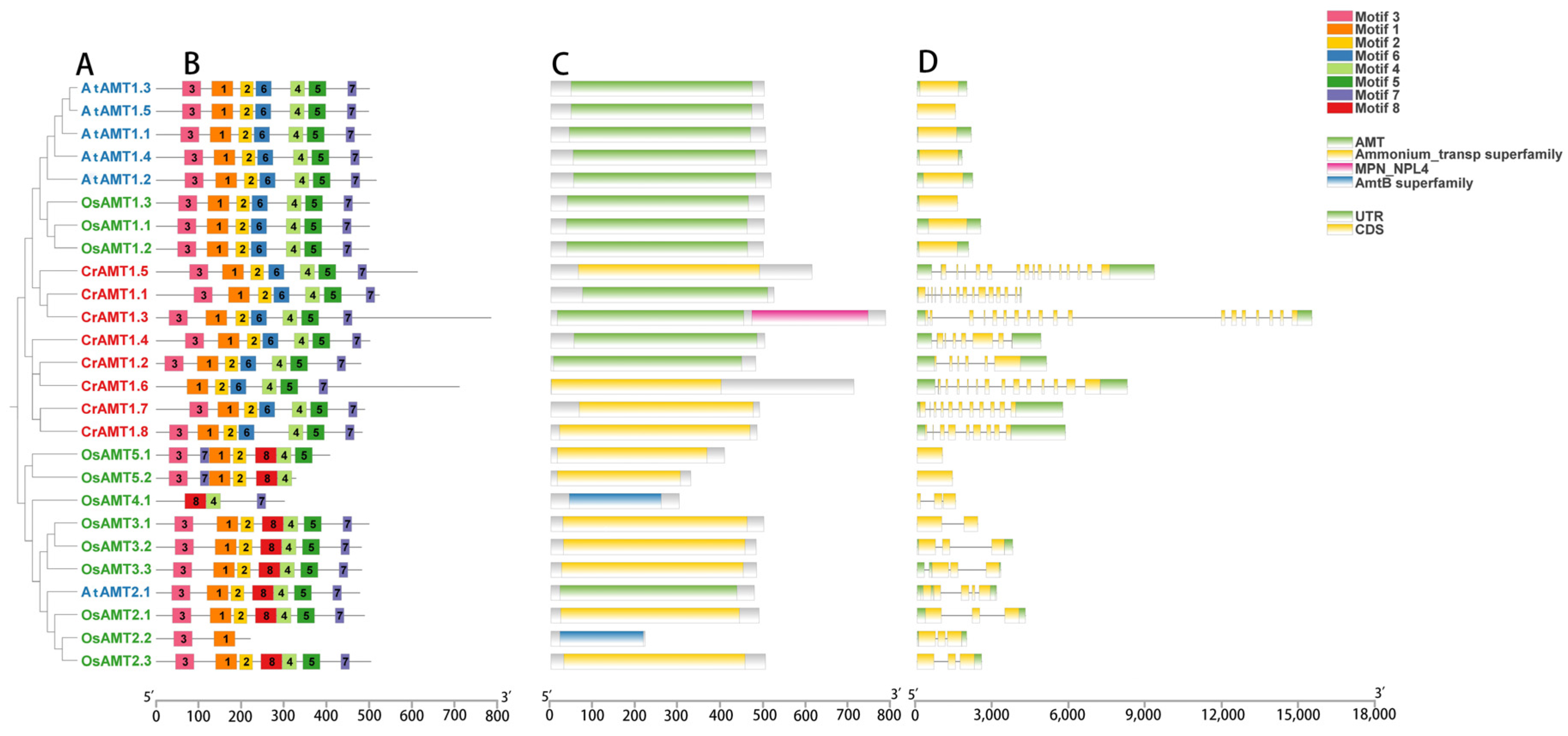 Genes 15 01002 g002 Genes 15 01002 g002