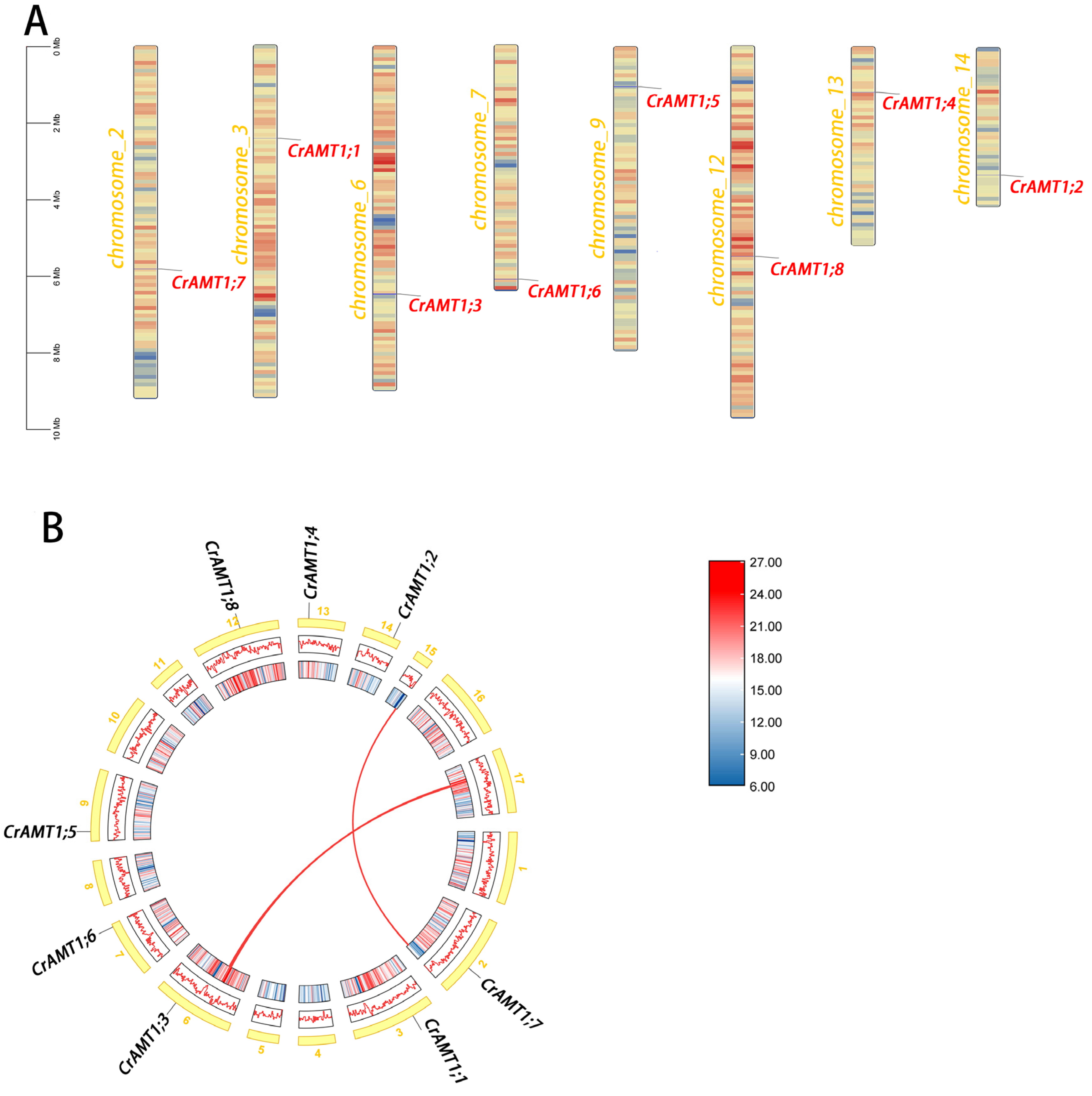 Genes 15 01002 g003 Genes 15 01002 g003