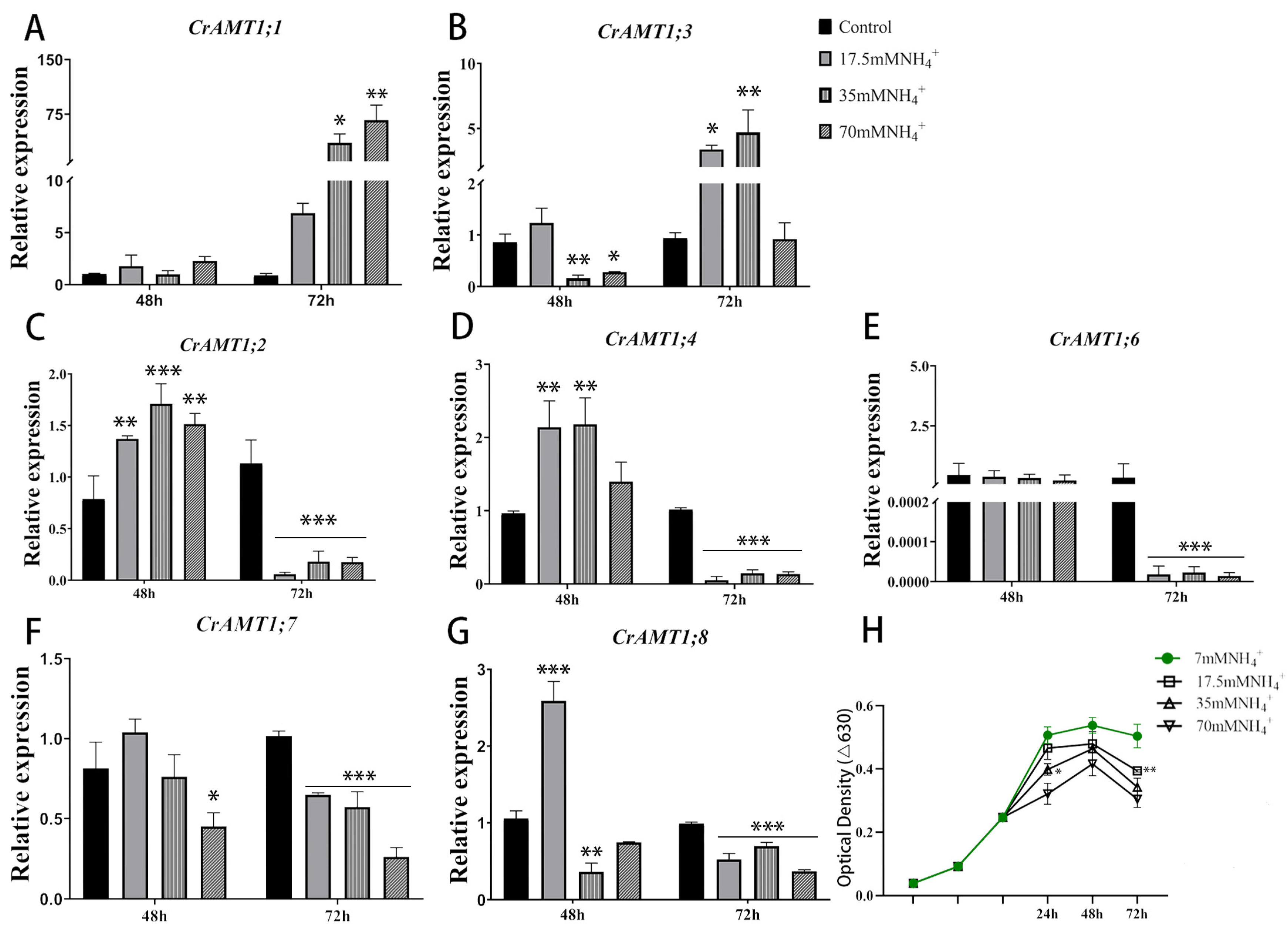 Genes 15 01002 g005 Genes 15 01002 g005