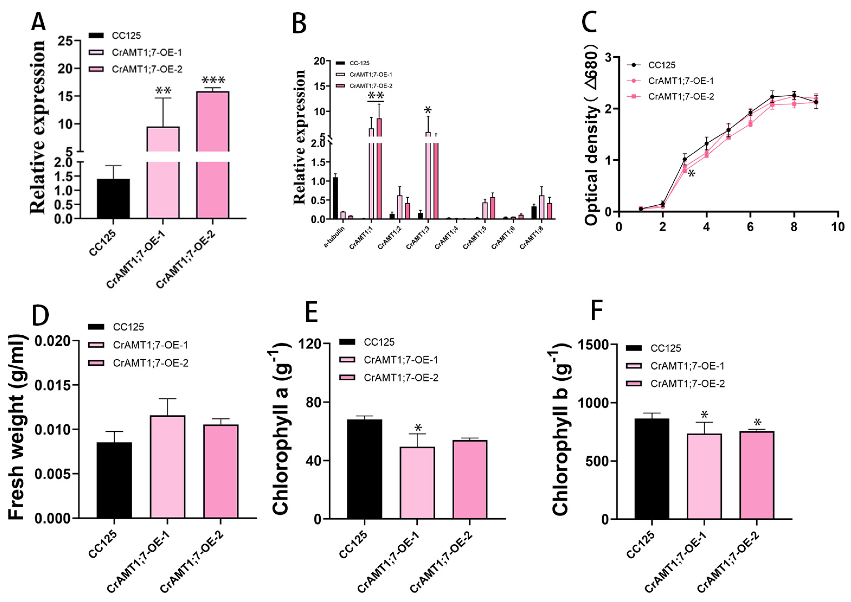 Genes 15 01002 g006 Genes 15 01002 g006