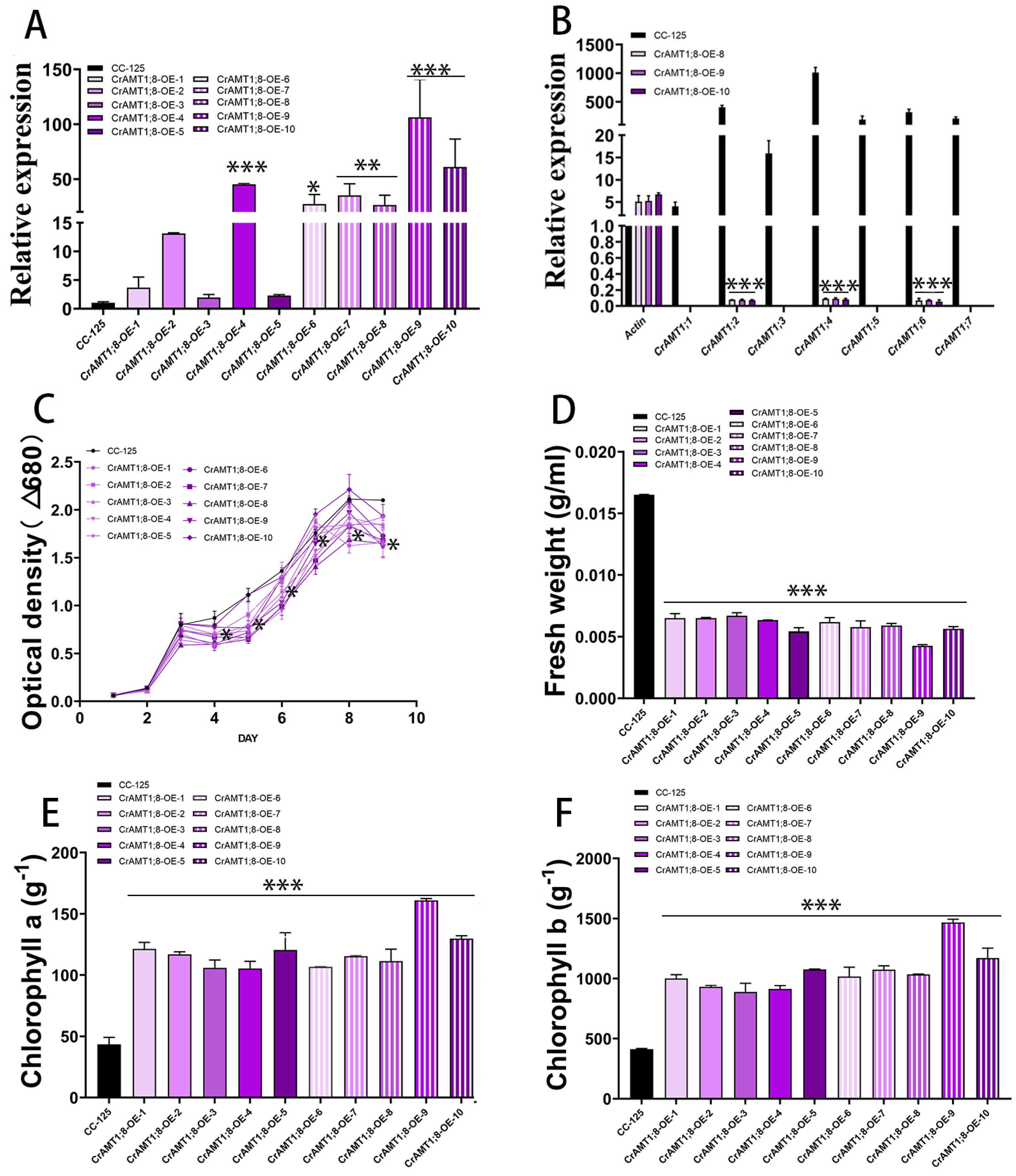 Genes 15 01002 g008 Genes 15 01002 g008