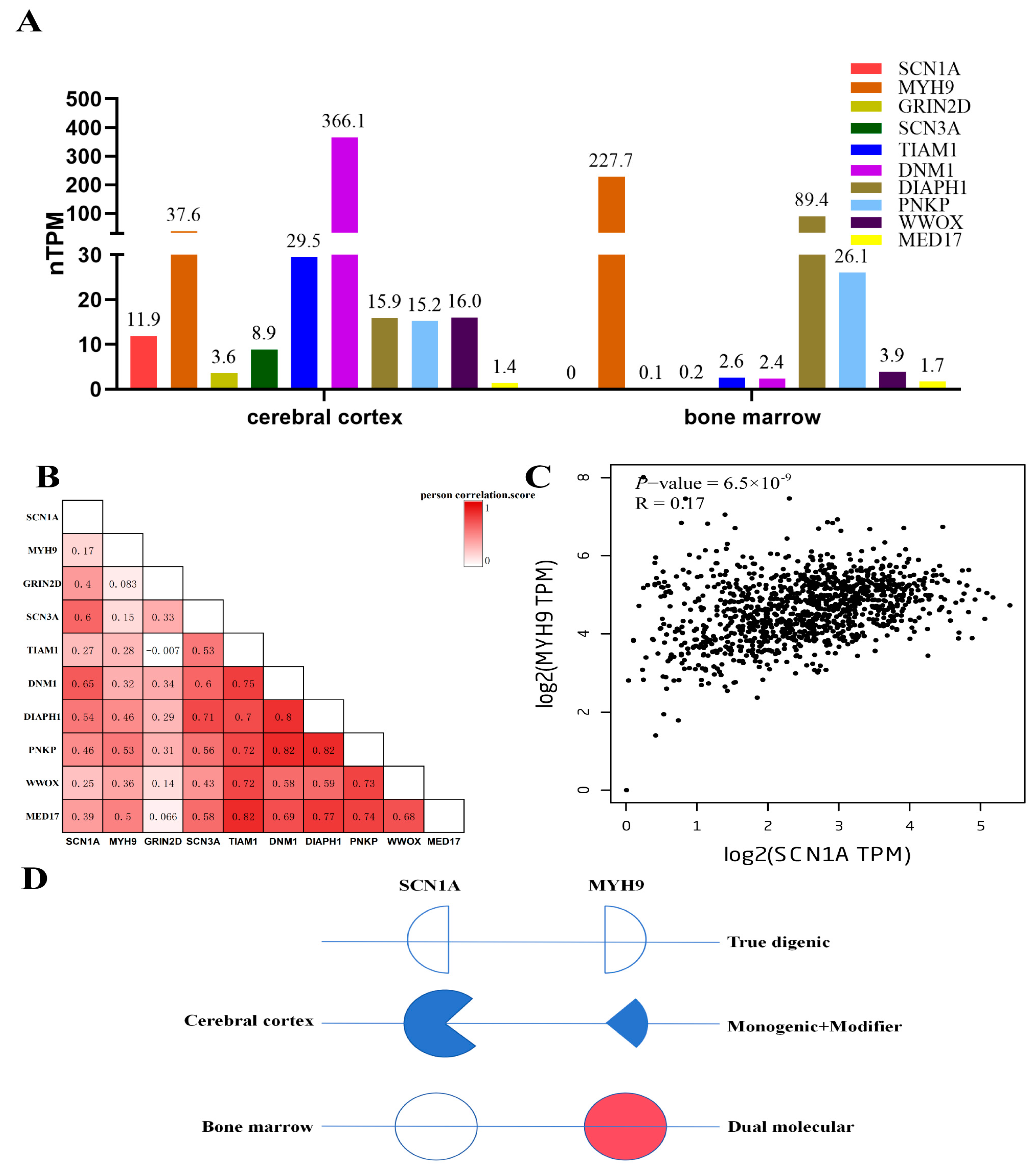 Genes 15 01004 g003