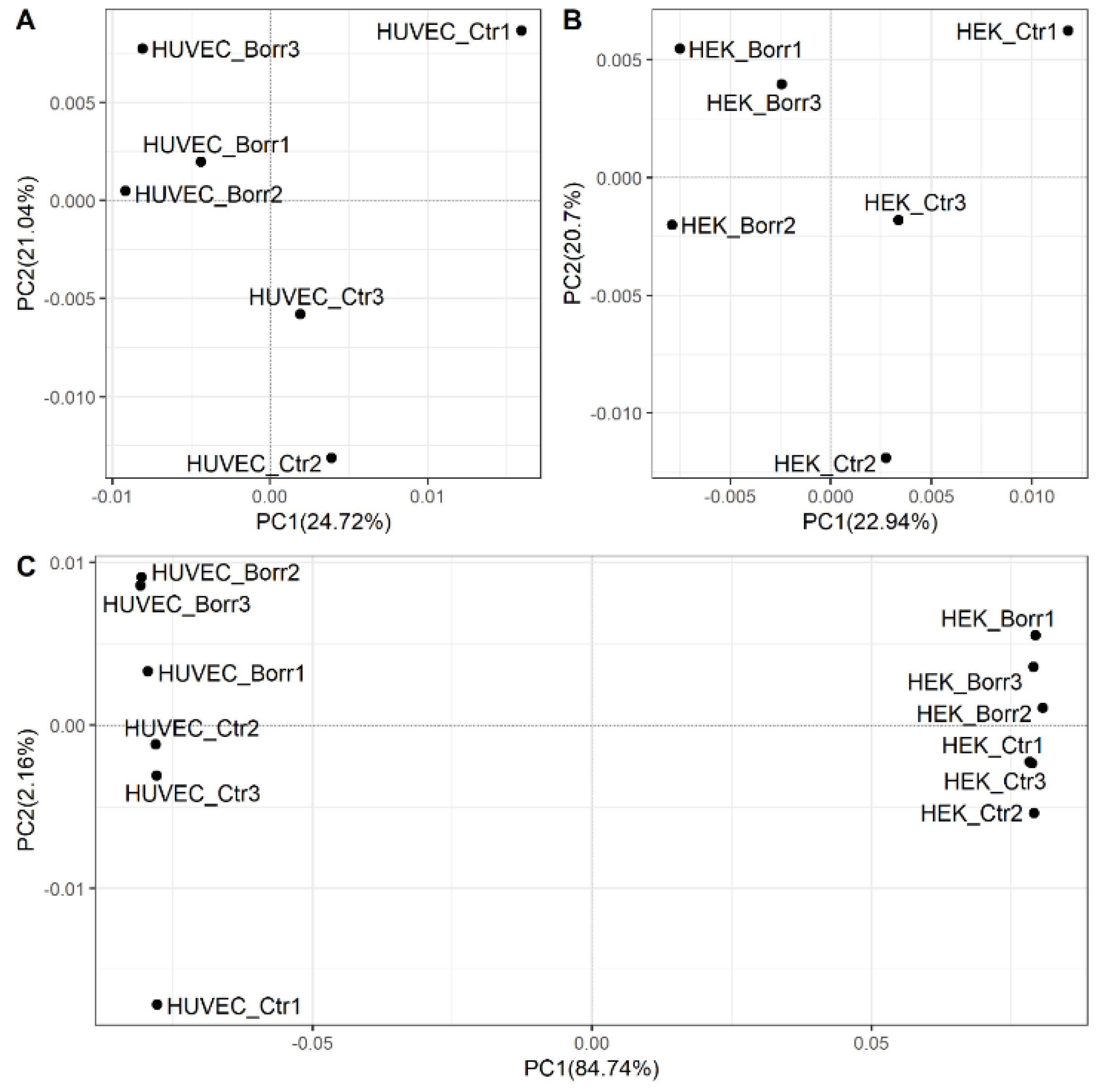 Genes 15 01010 g002 Genes 15 01010 g002