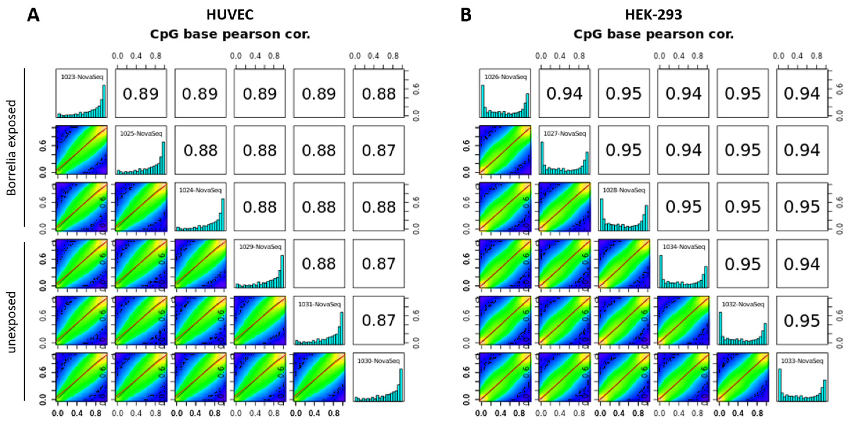 Genes 15 01010 g008 Genes 15 01010 g008