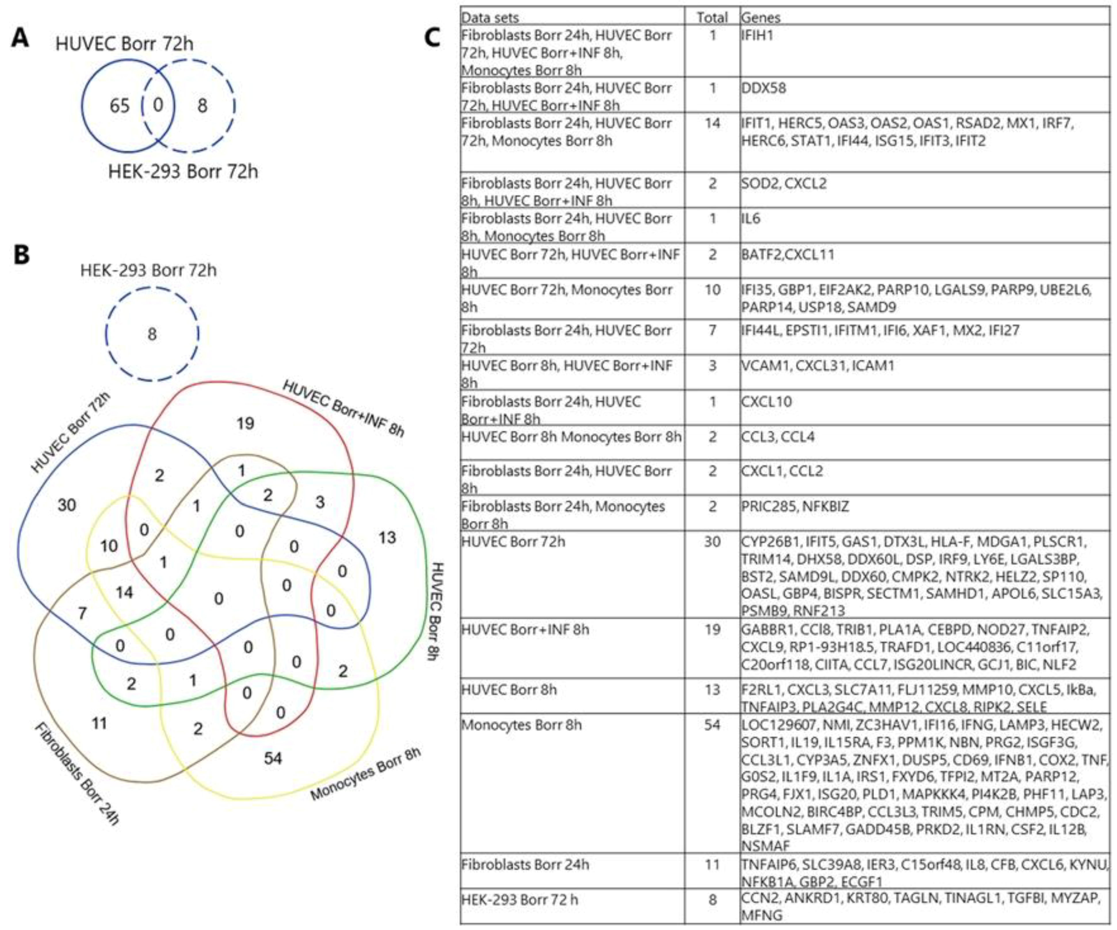 Genes 15 01010 g009 Genes 15 01010 g009