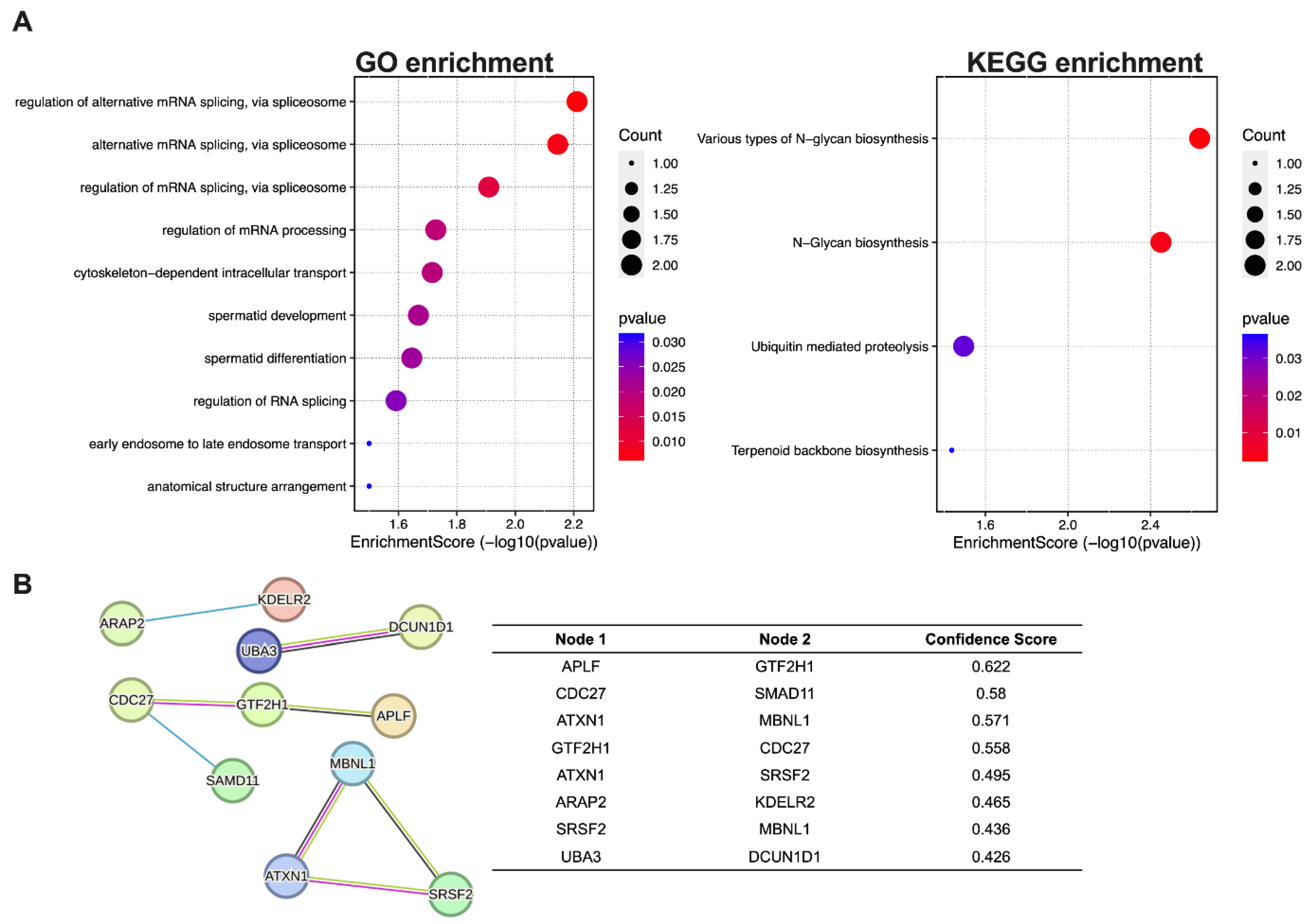 Genes 15 01024 g004