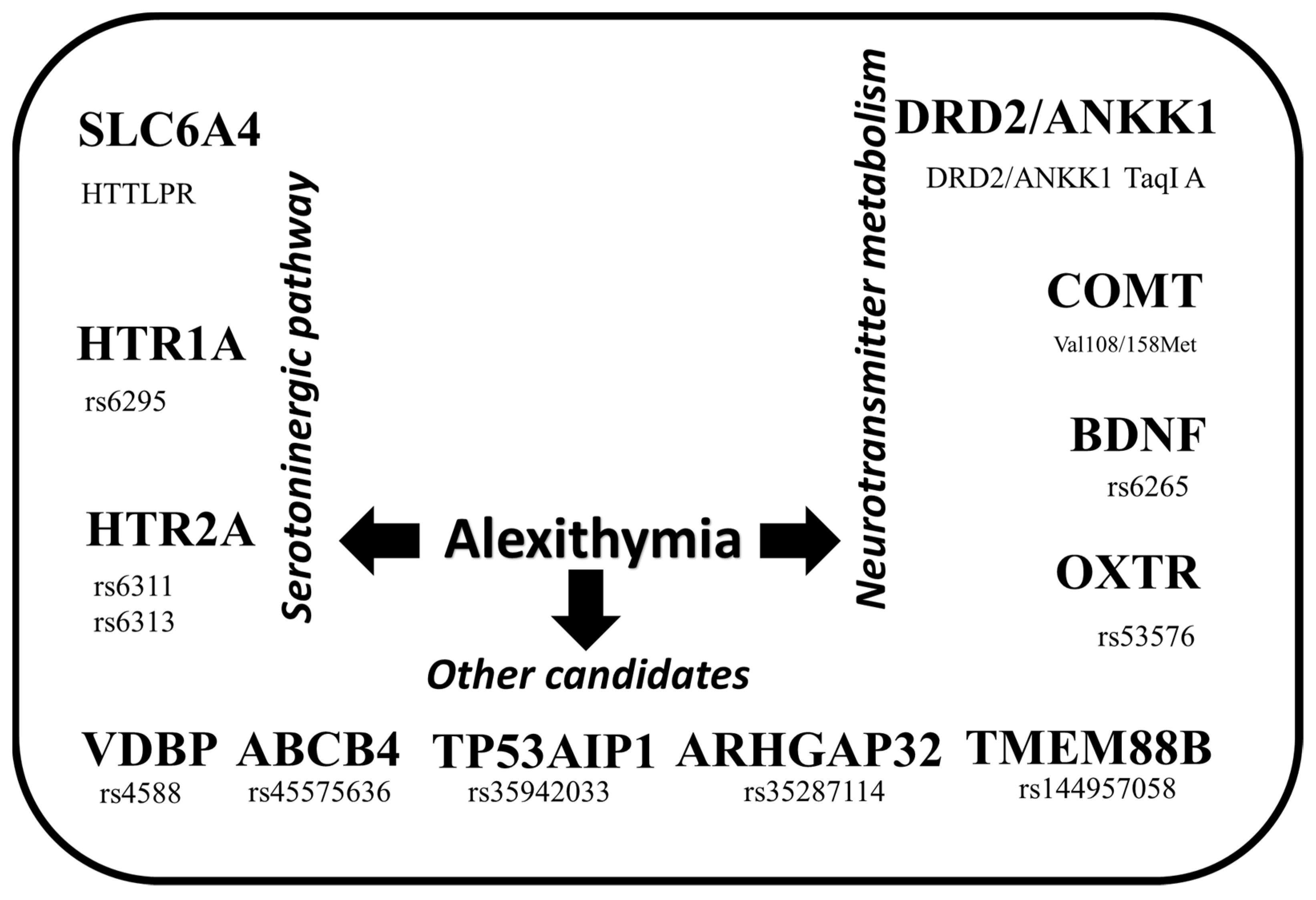 Genes 15 01025 g002 Genes 15 01025 g002