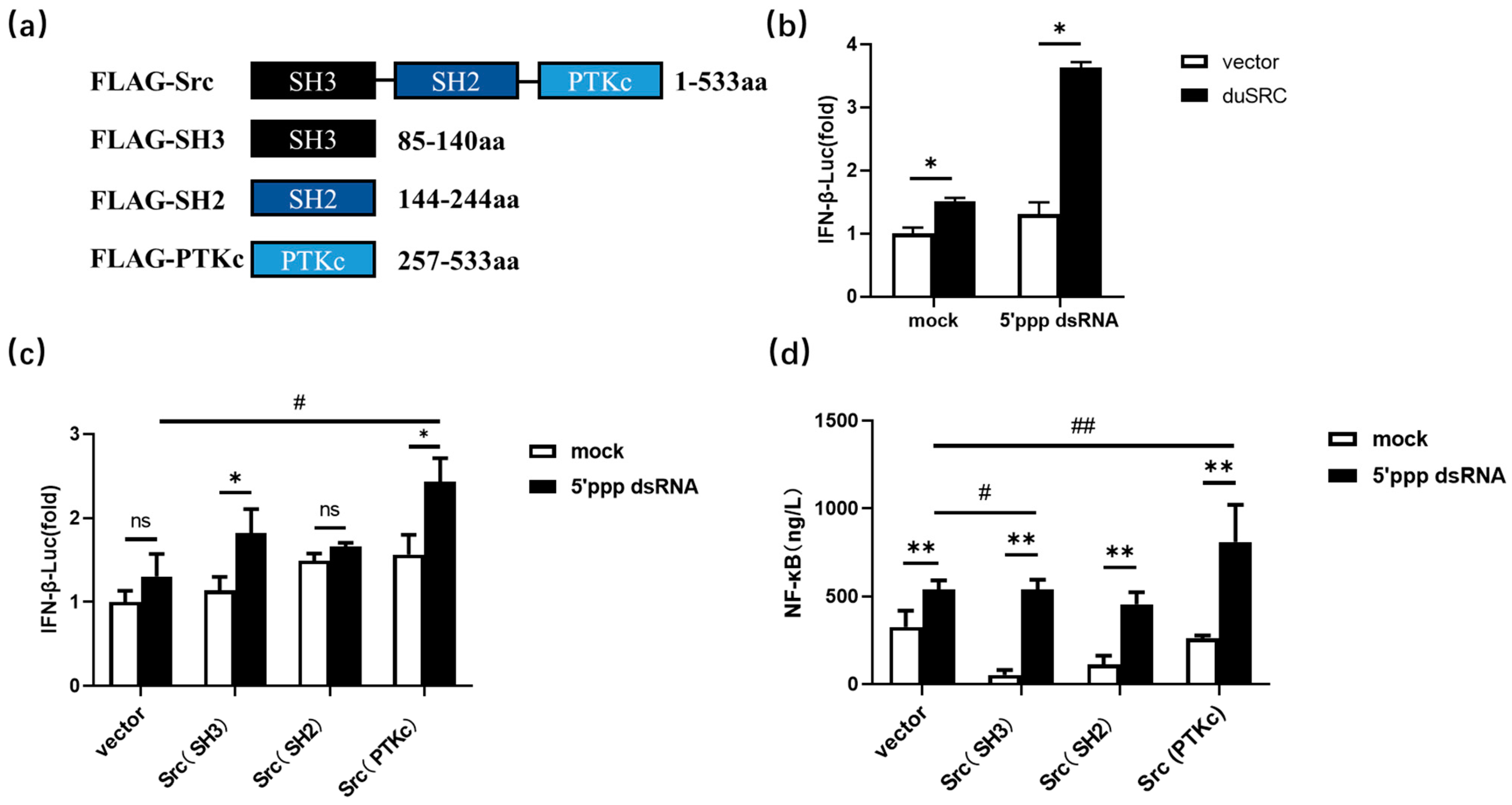 Genes 15 01044 g004 Genes 15 01044 g004