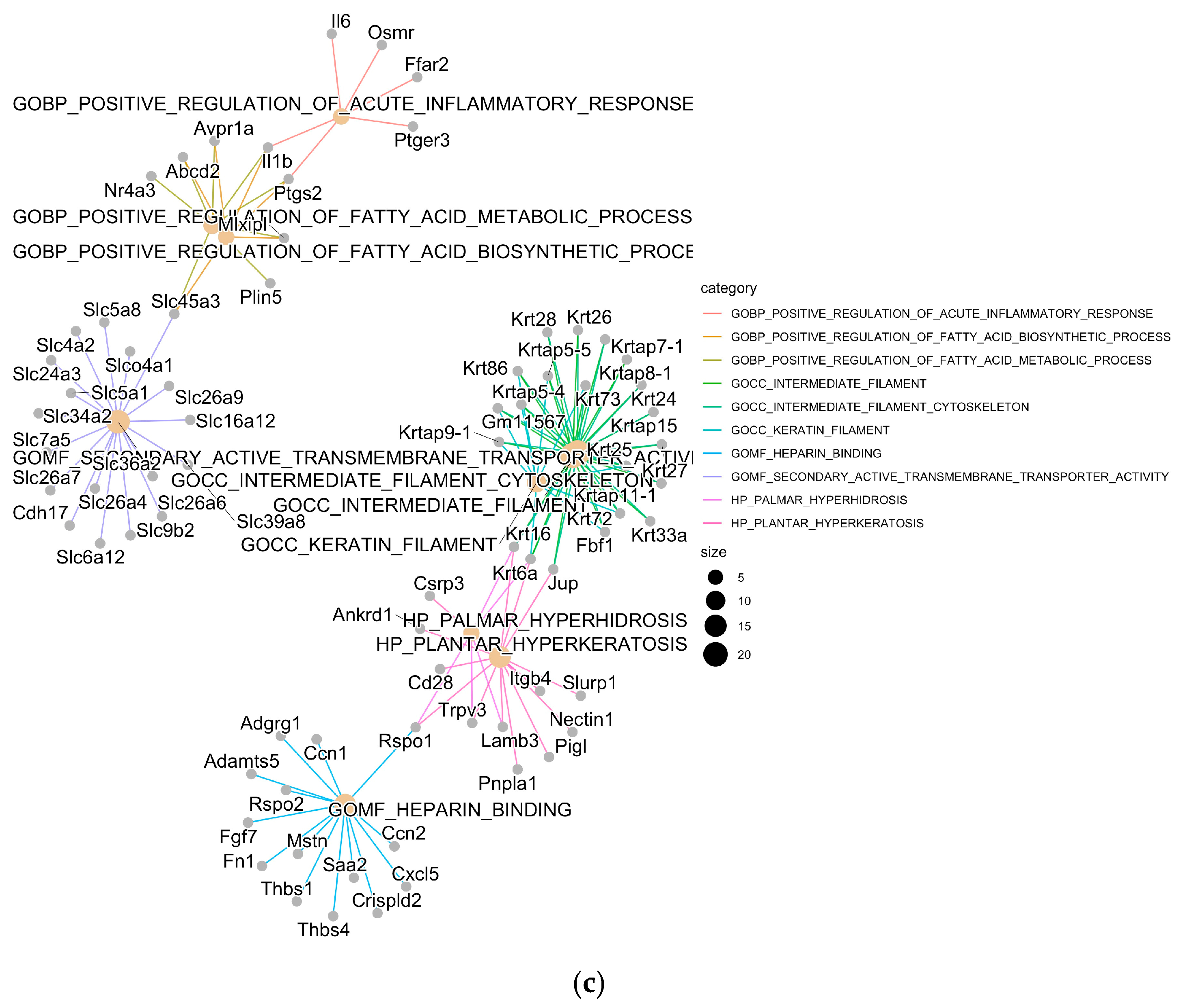 Genes 15 01045 g003b